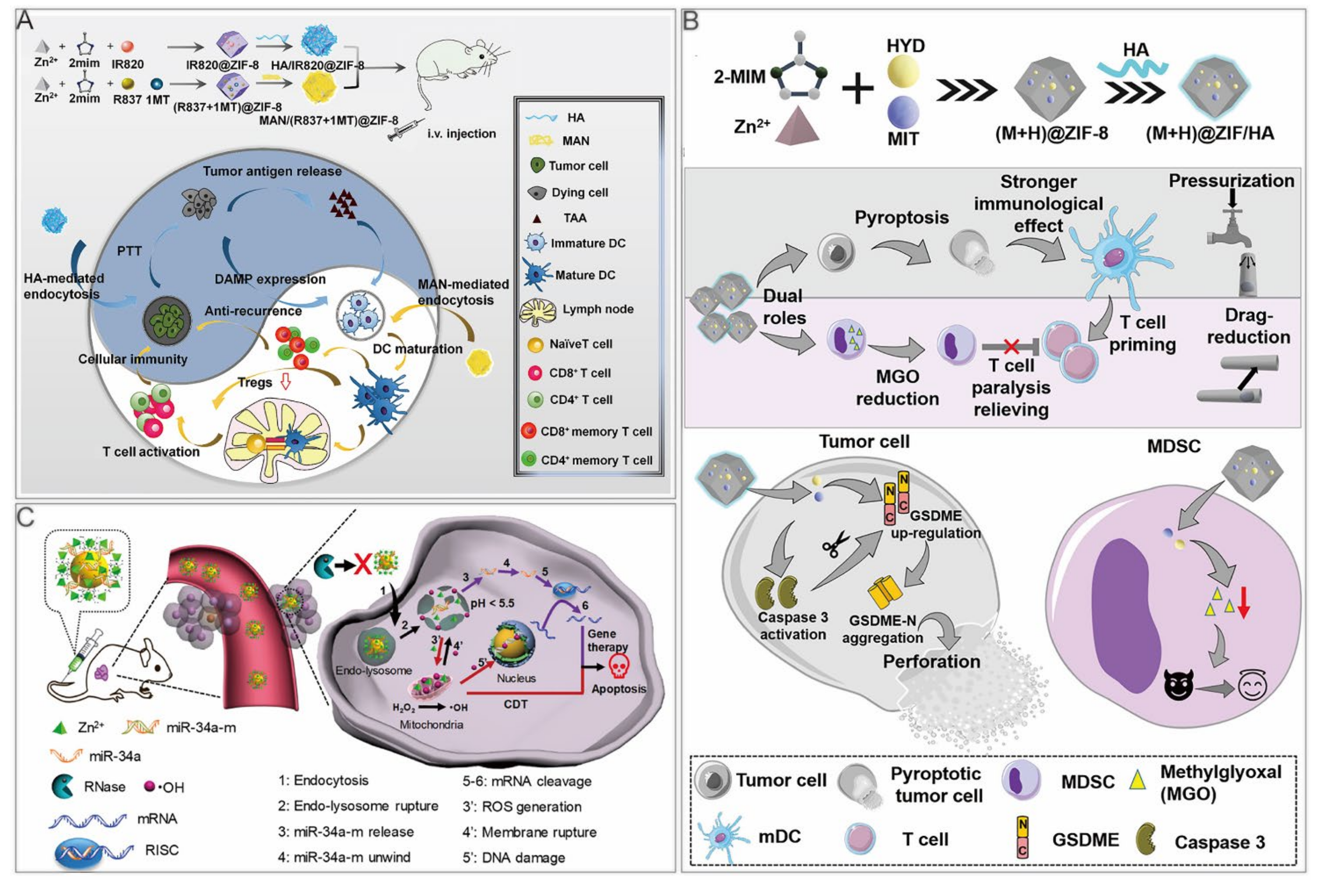 Cancers 14 03935 g006