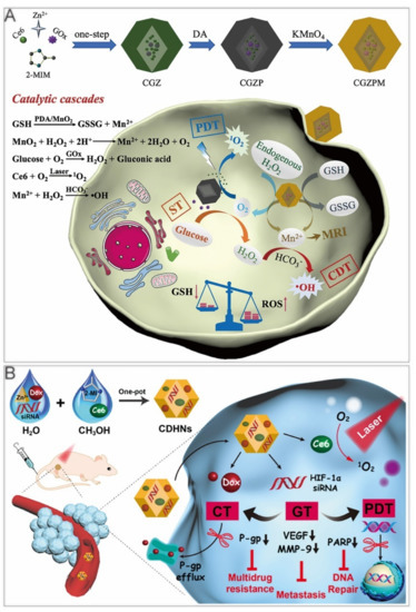 Cancers 14 03935 g007 550