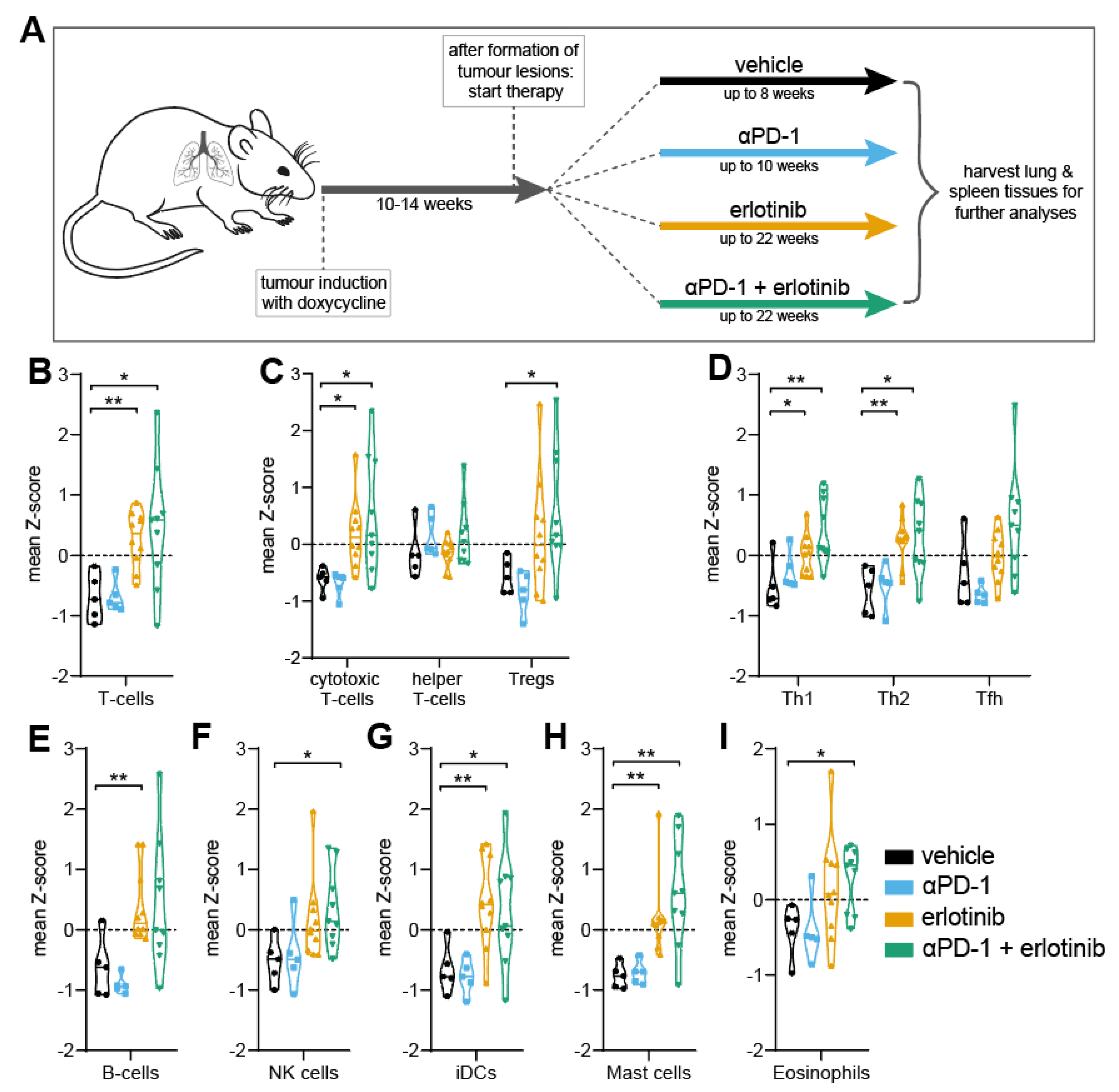 Cancers 14 03943 g001
