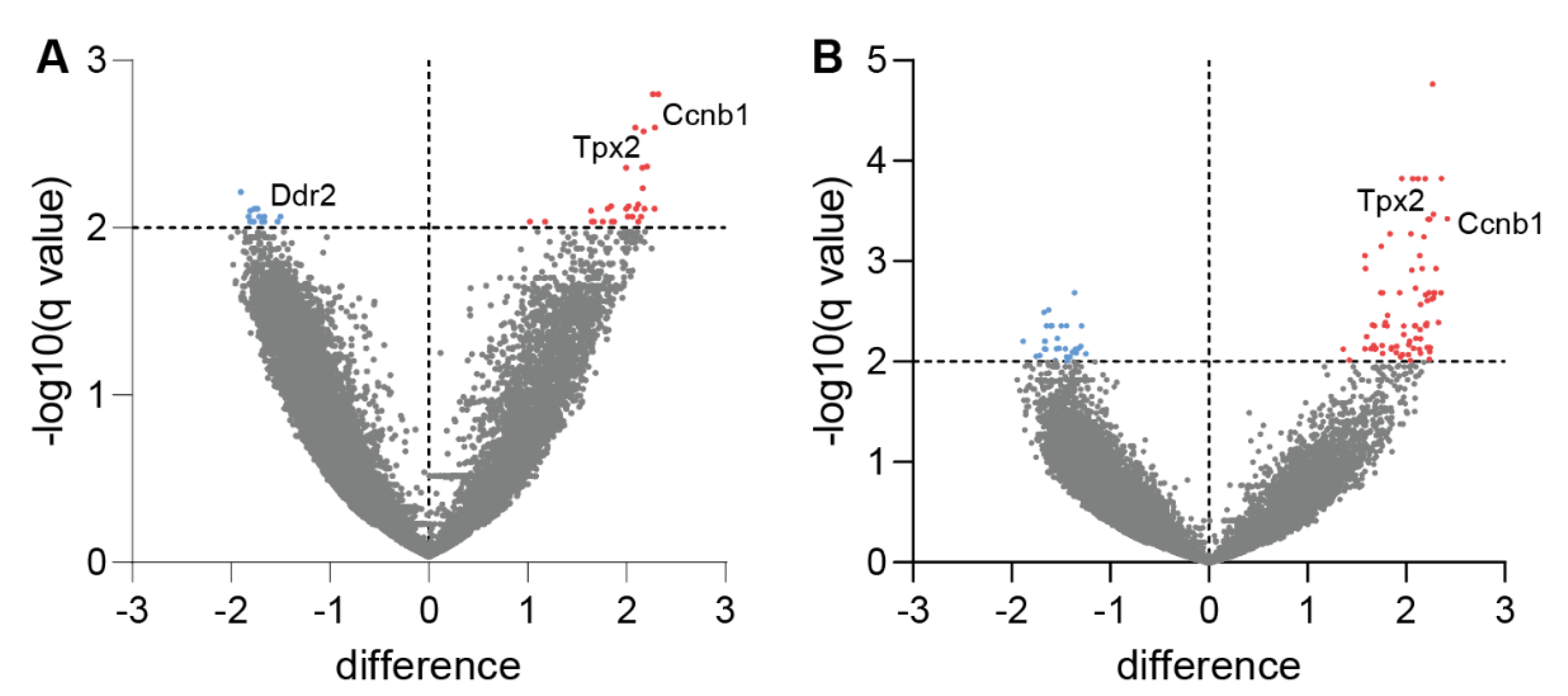 Cancers 14 03943 g004