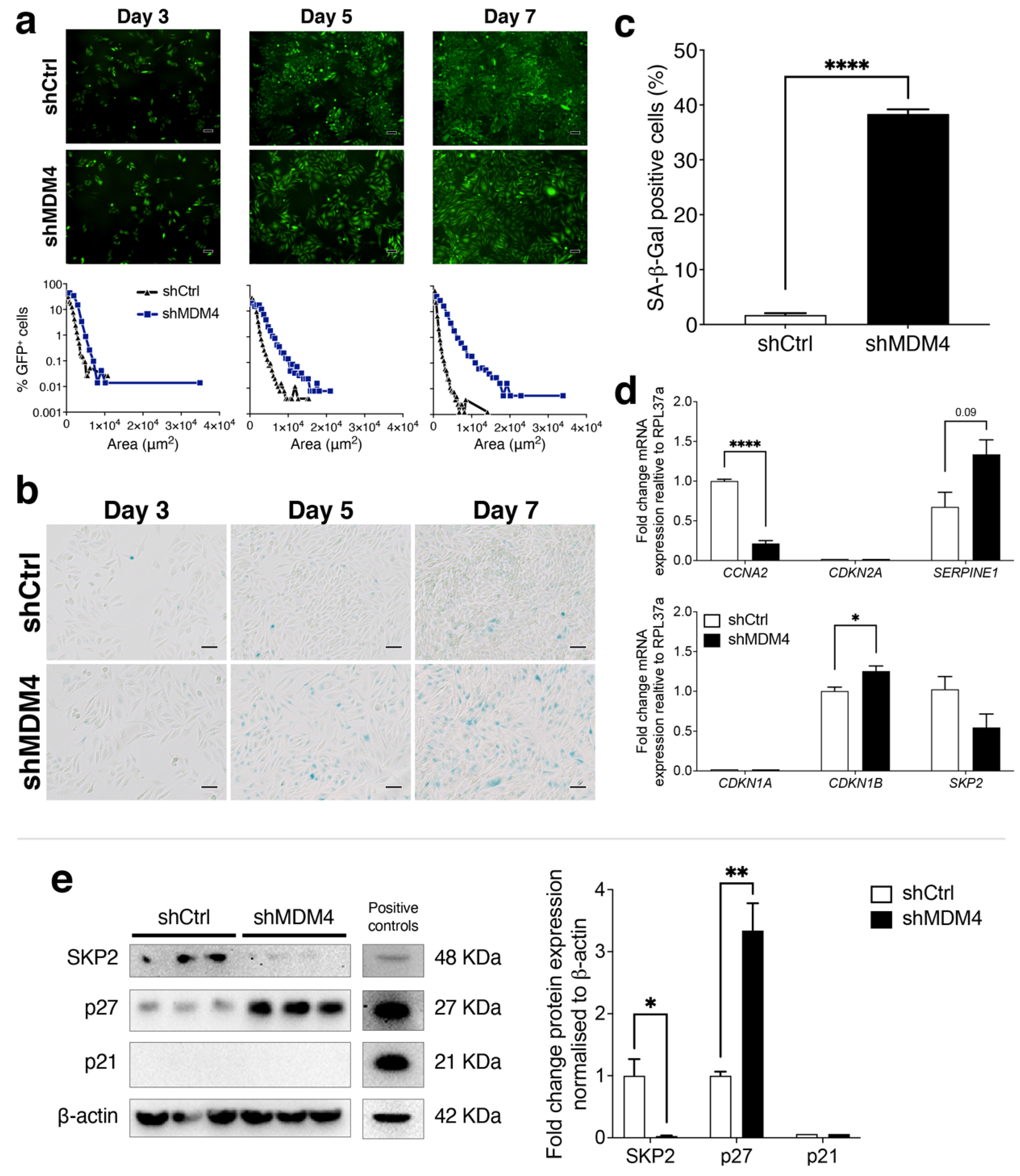 Cancers 14 03947 g005