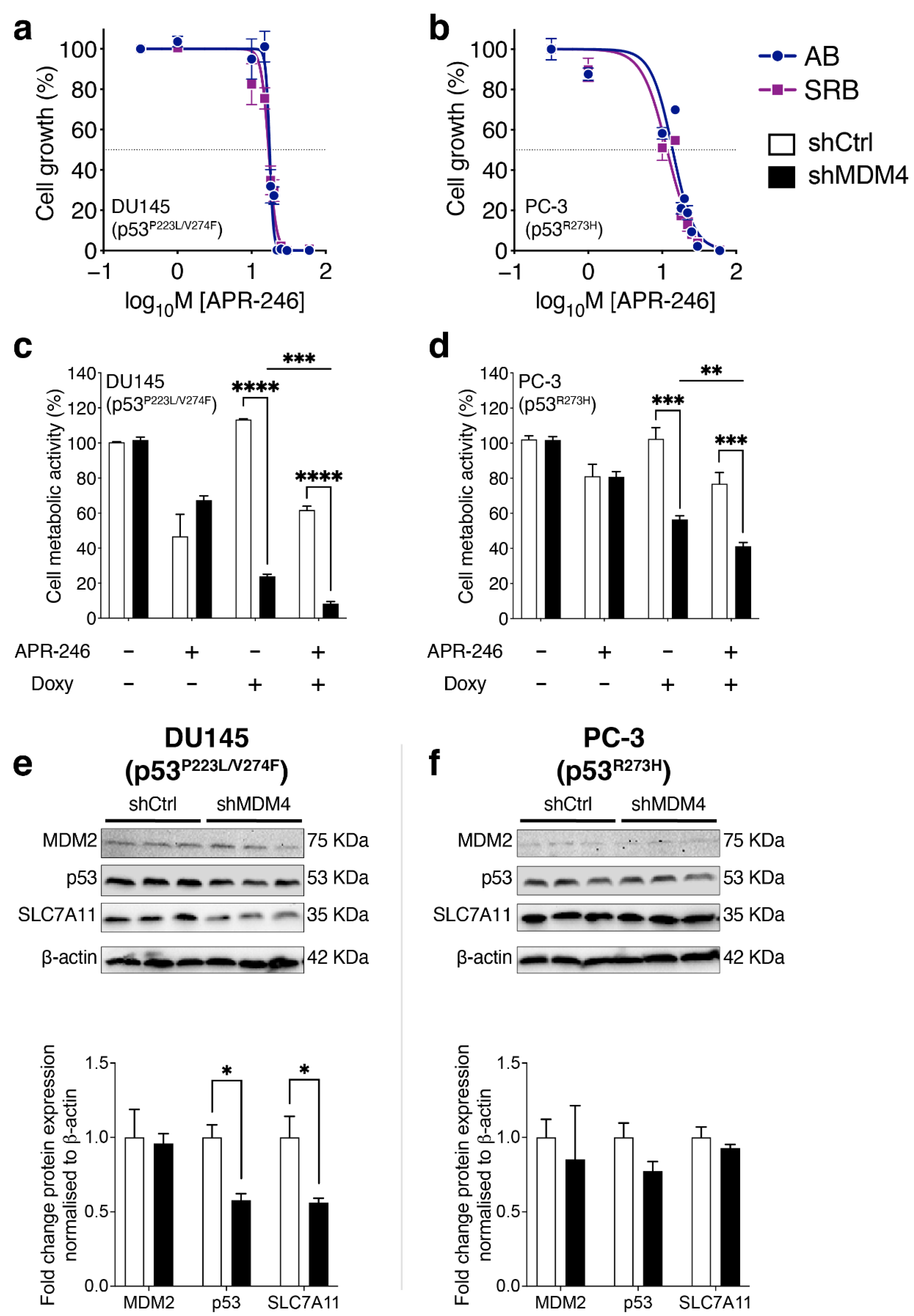 Cancers 14 03947 g006