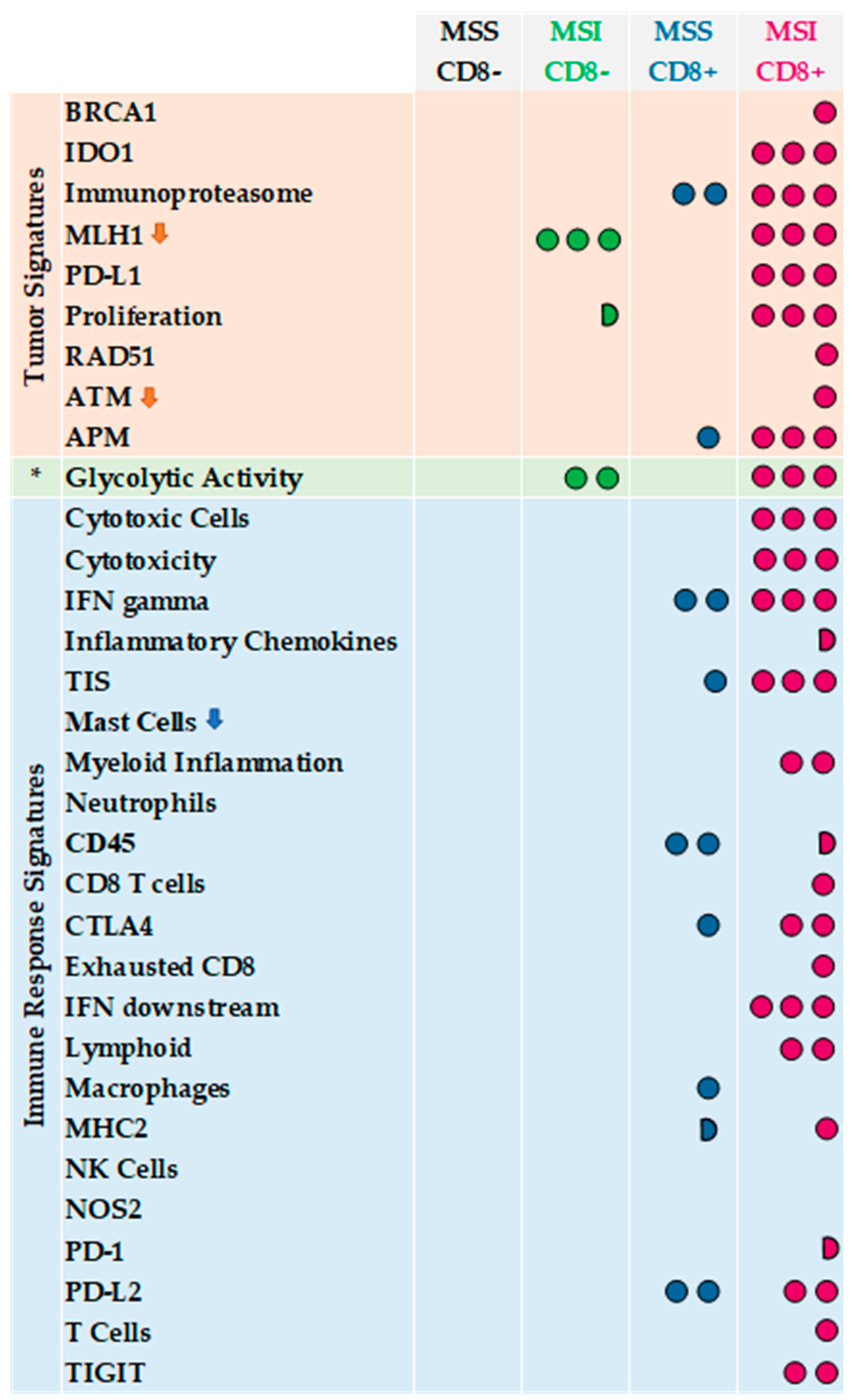 Cancers 14 03951 g003