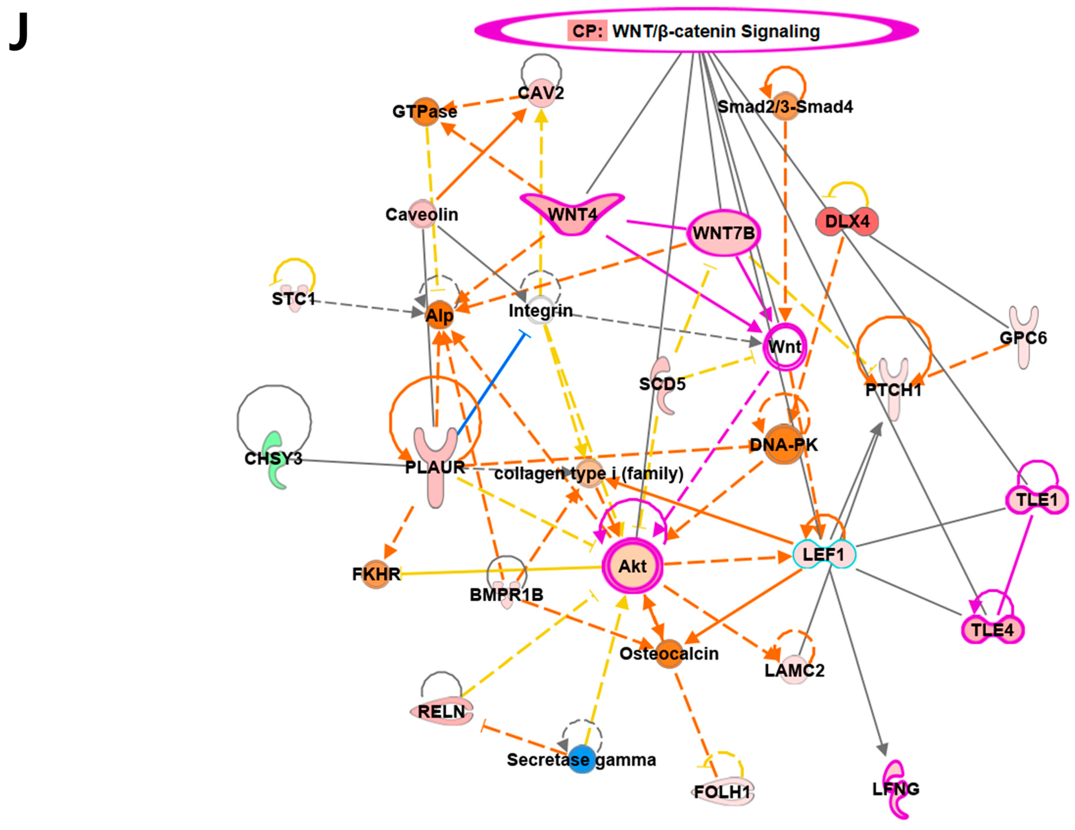 Cancers 14 03959 g002d