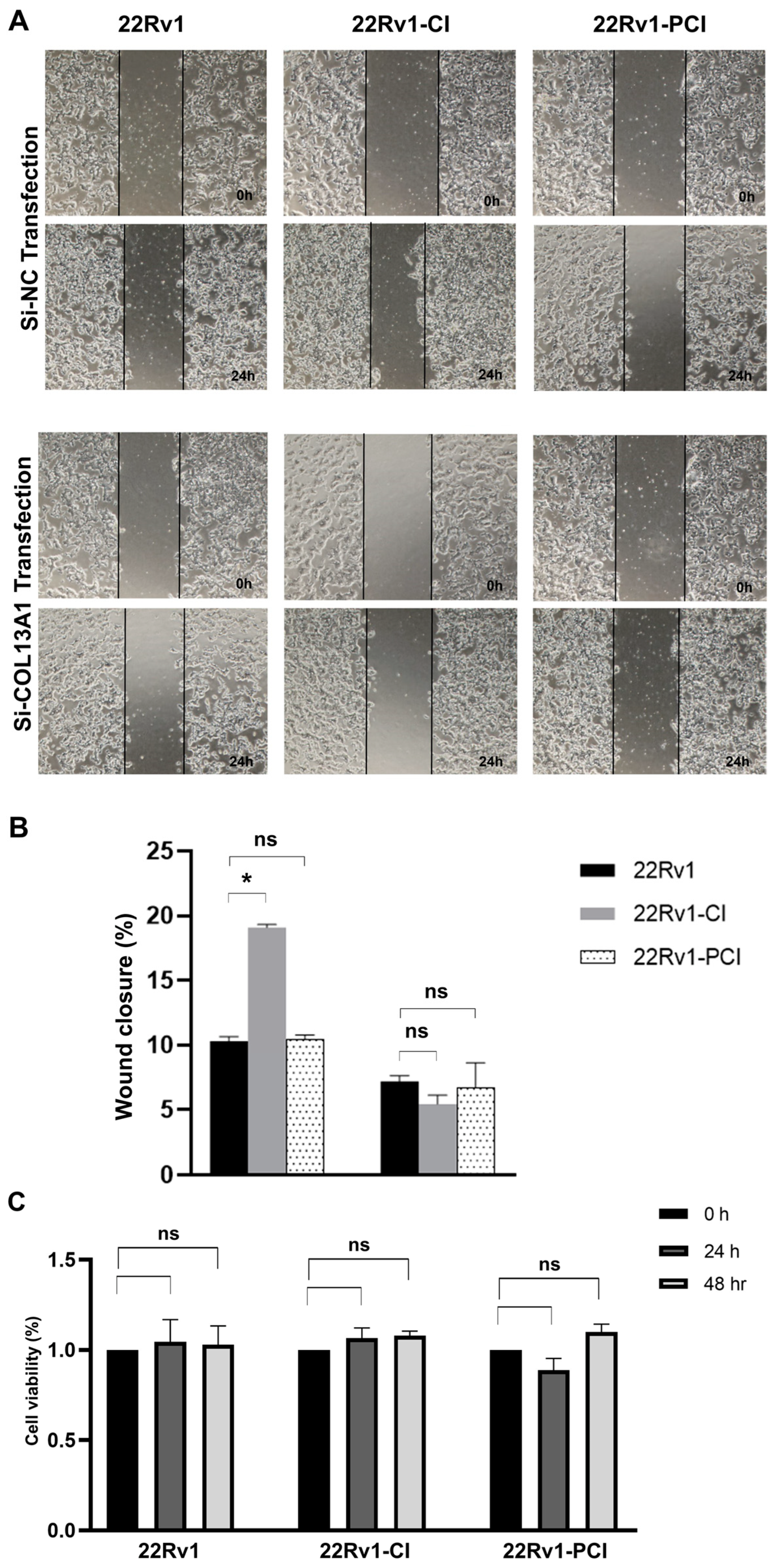 Cancers 14 03959 g005