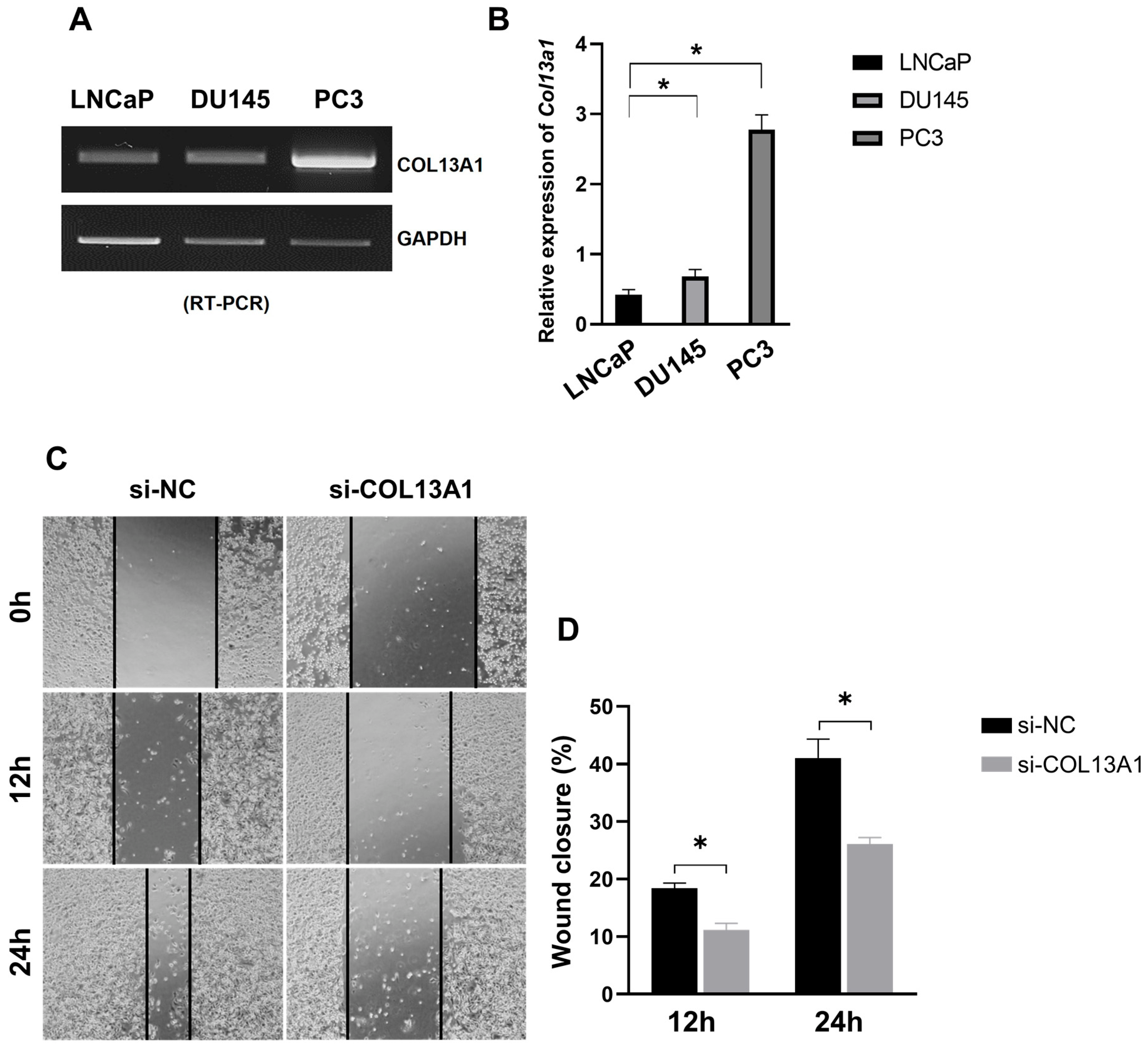 Cancers 14 03959 g006