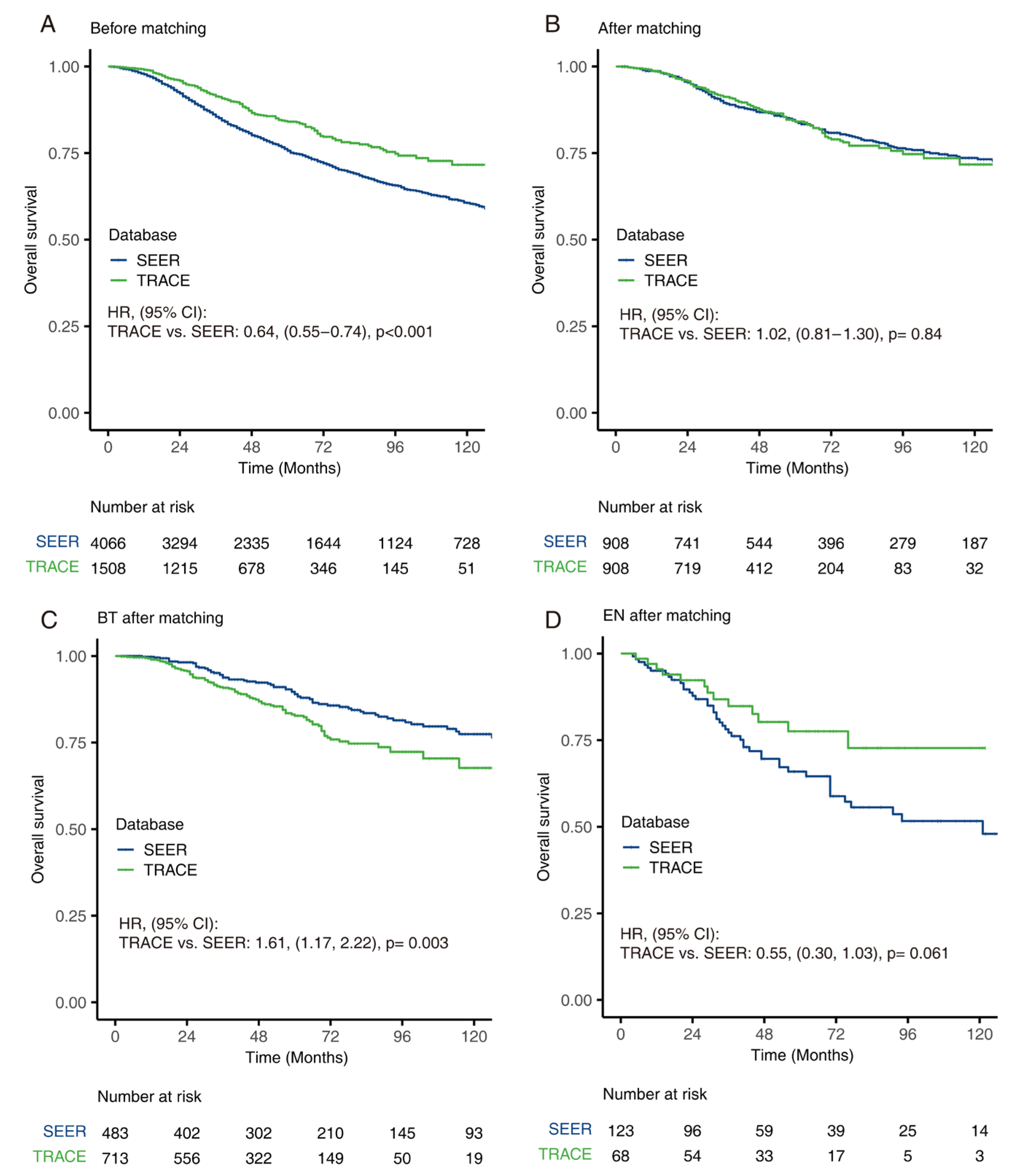 Cancers 14 03960 g004