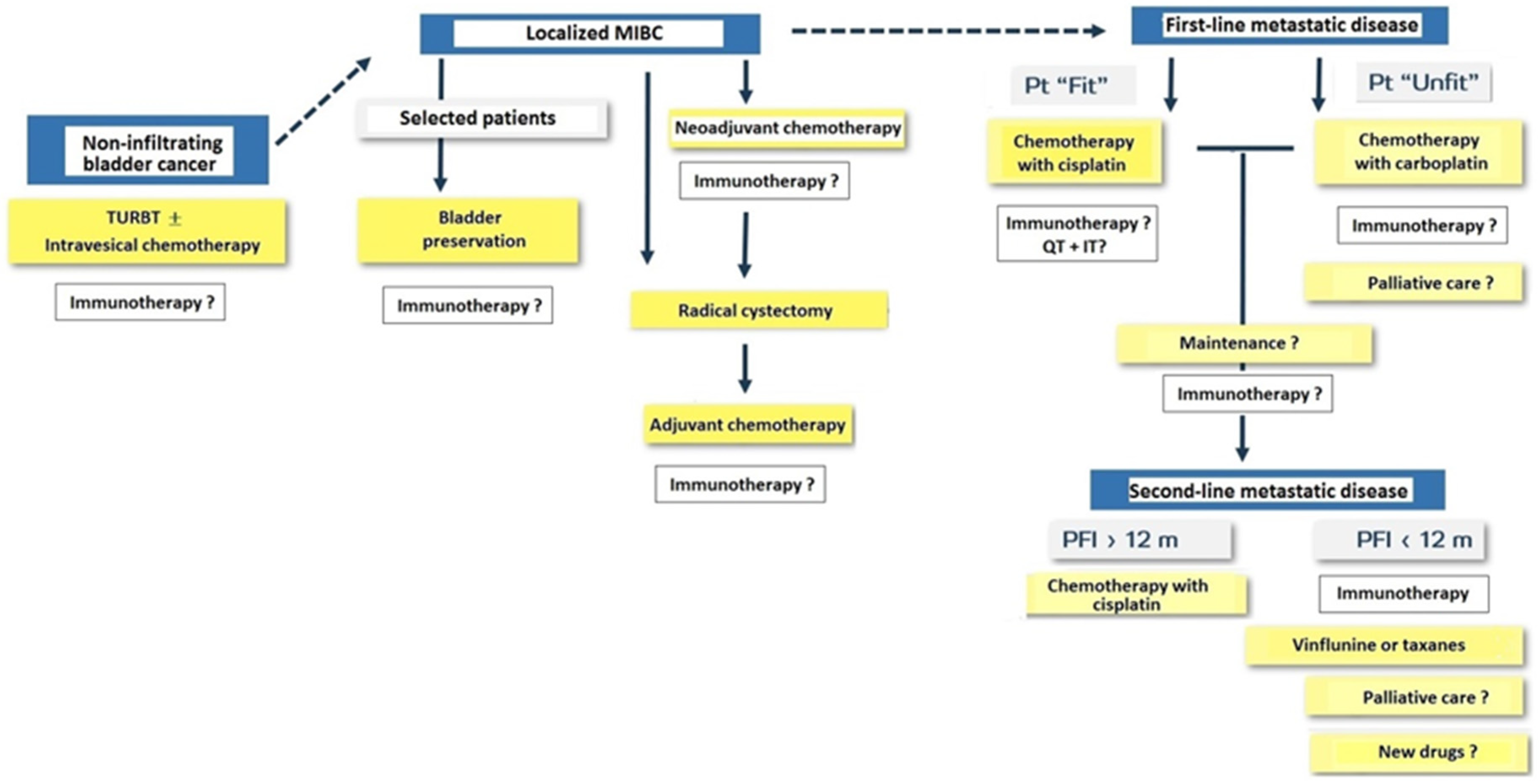 Cancers 14 03968 g007