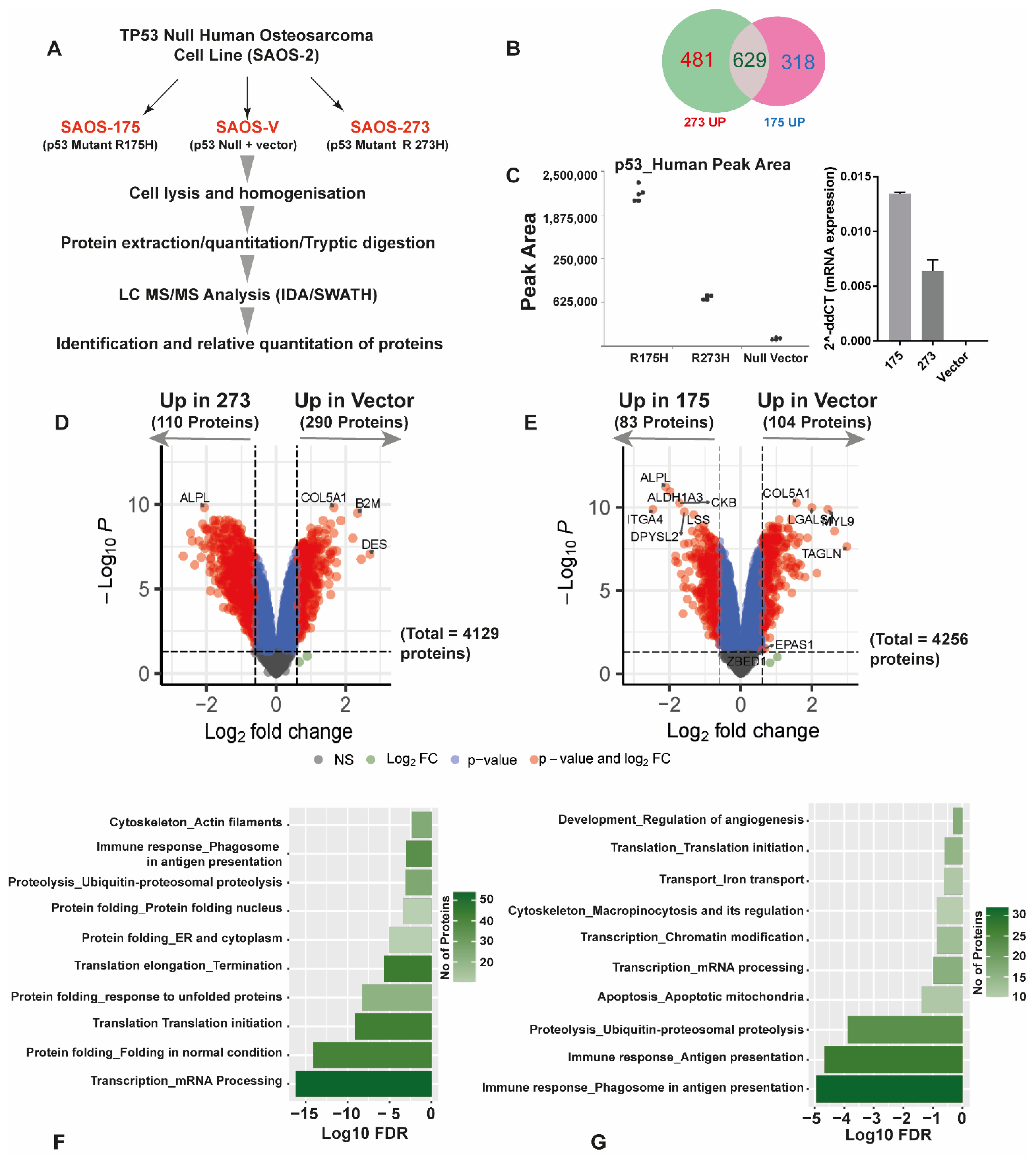 Cancers 14 03975 g002
