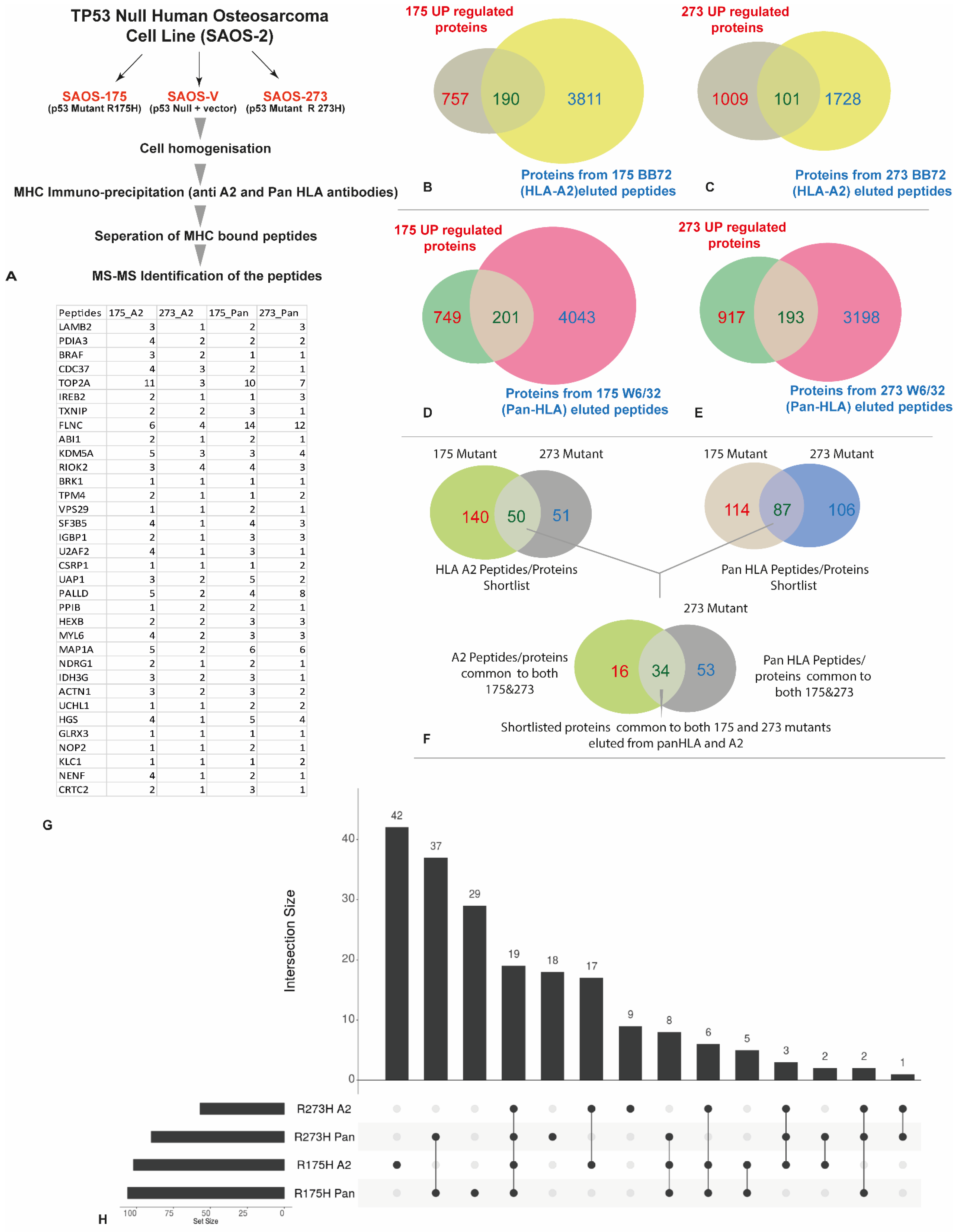 Cancers 14 03975 g003