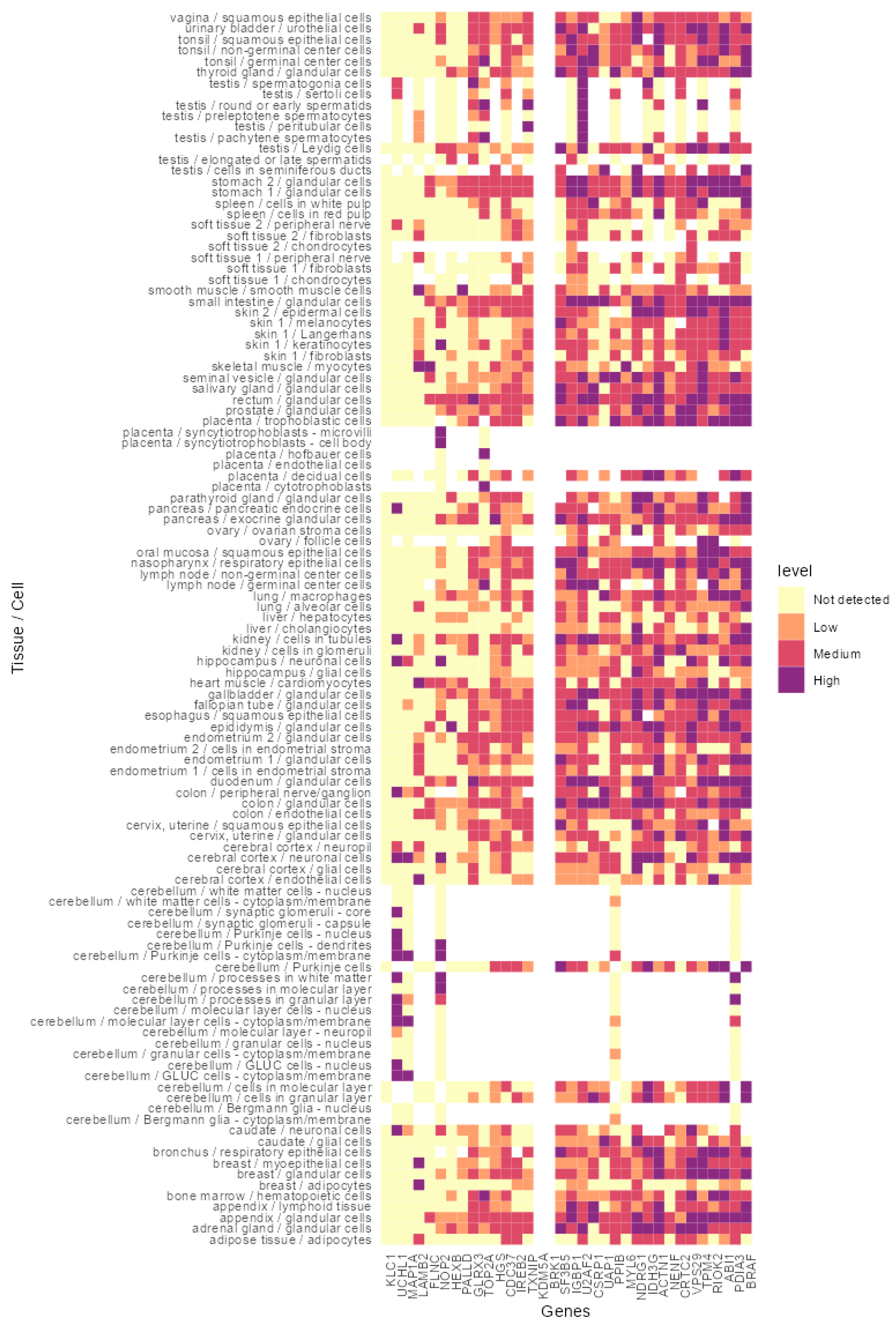 Cancers 14 03975 g004