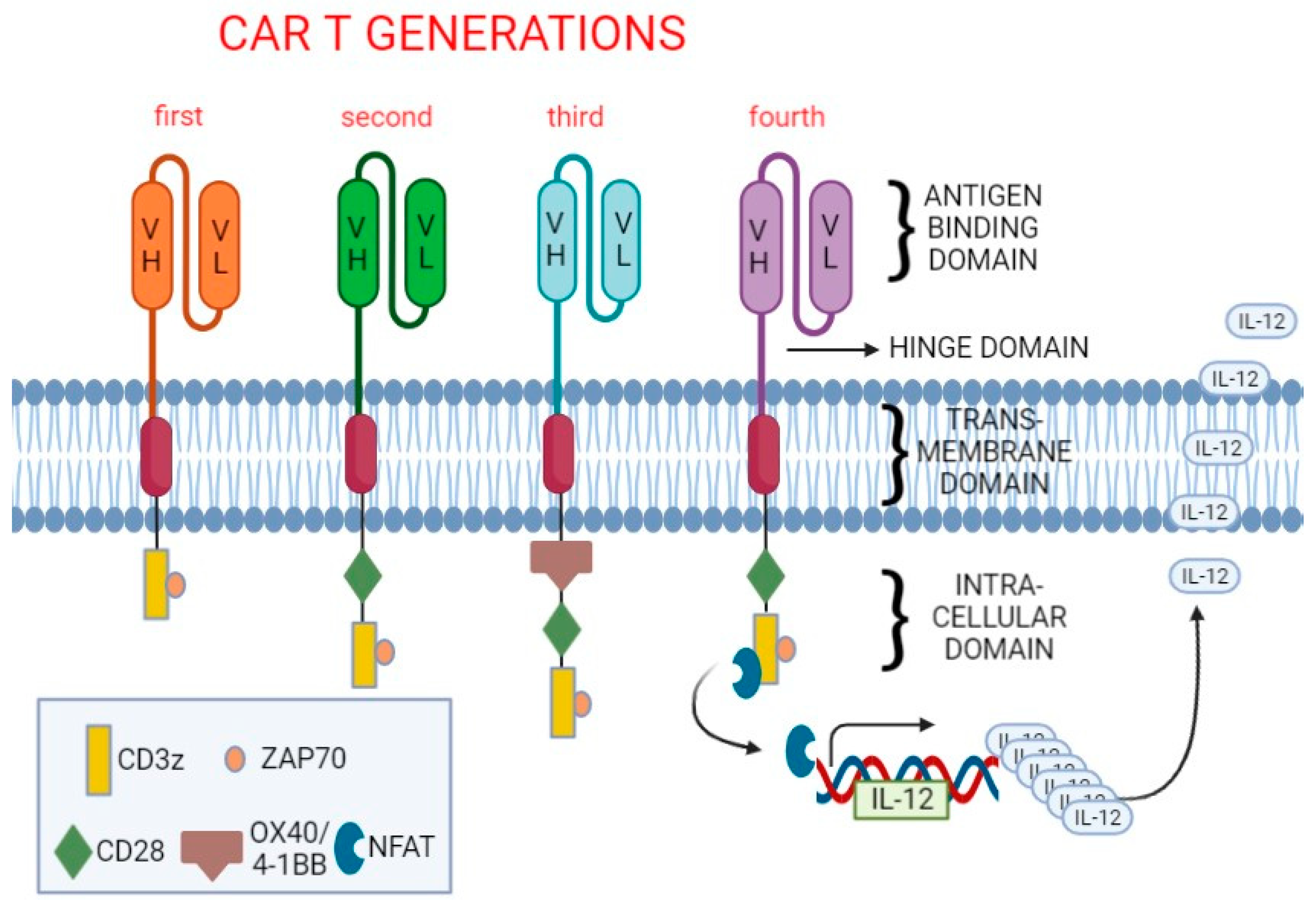 Cancers 14 03991 g001