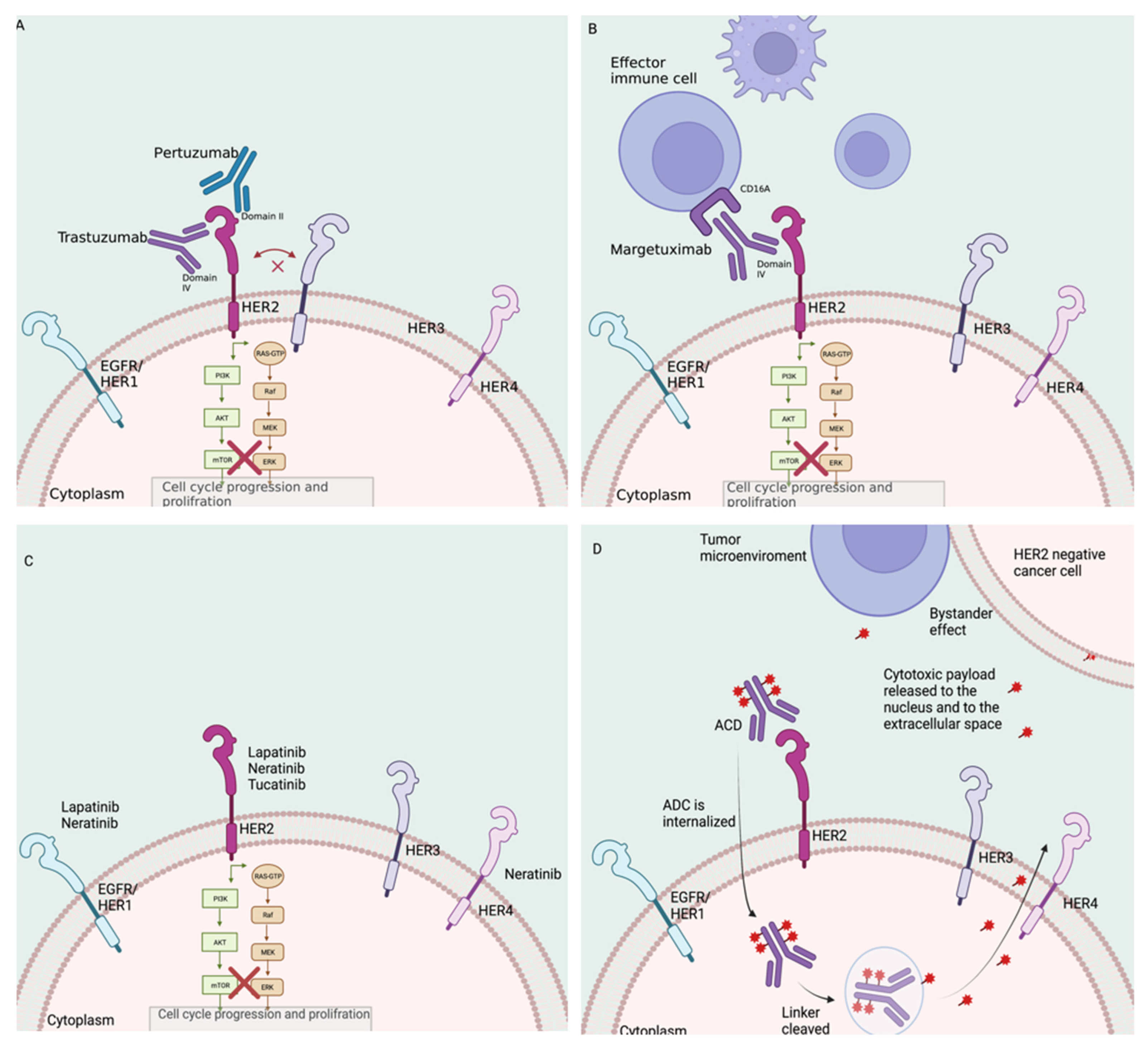 Cancers 14 03996 g001