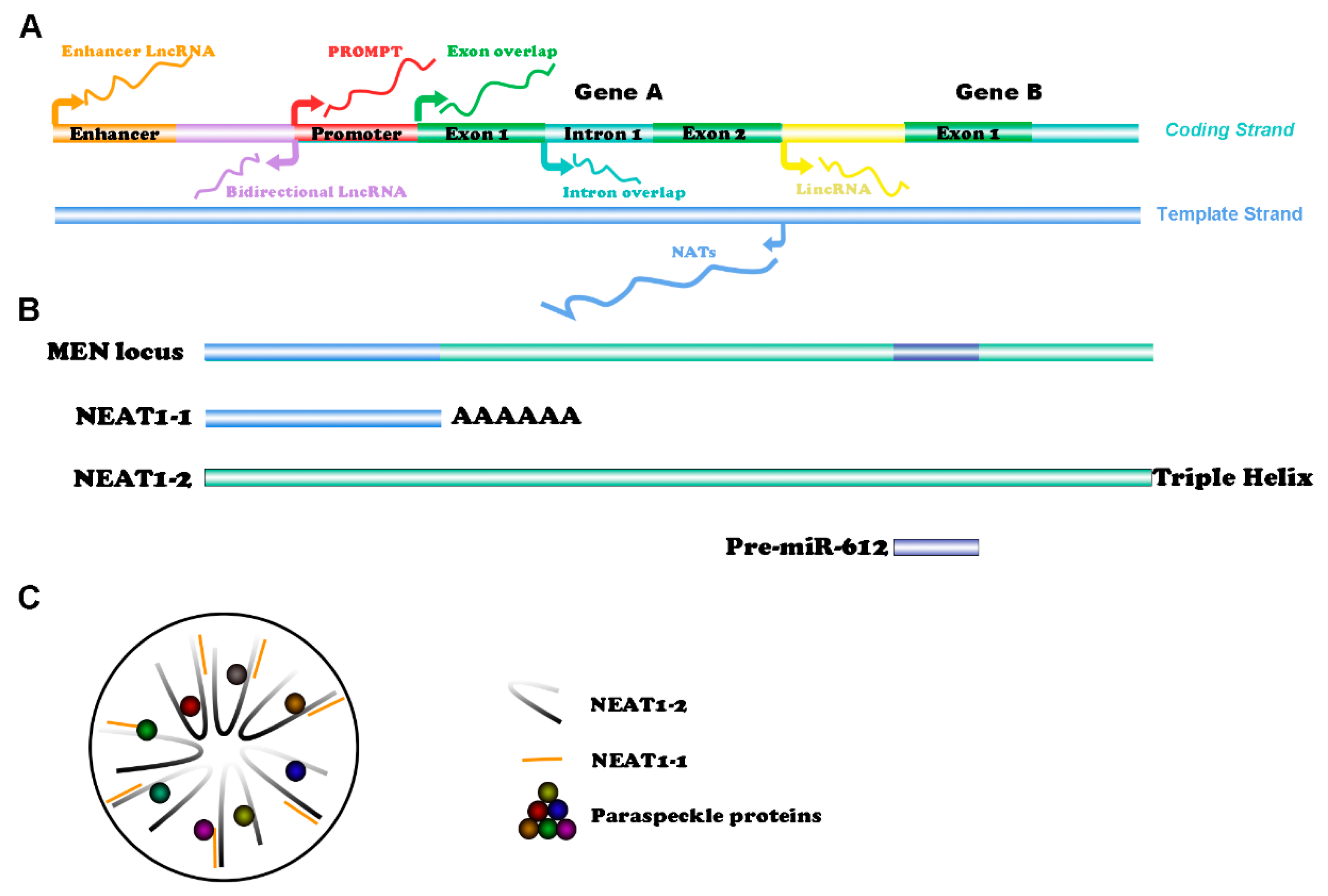 Cancers 14 04009 g001