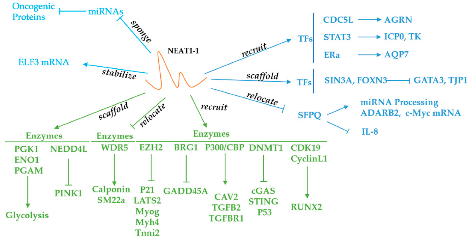 Cancers 14 04009 g002