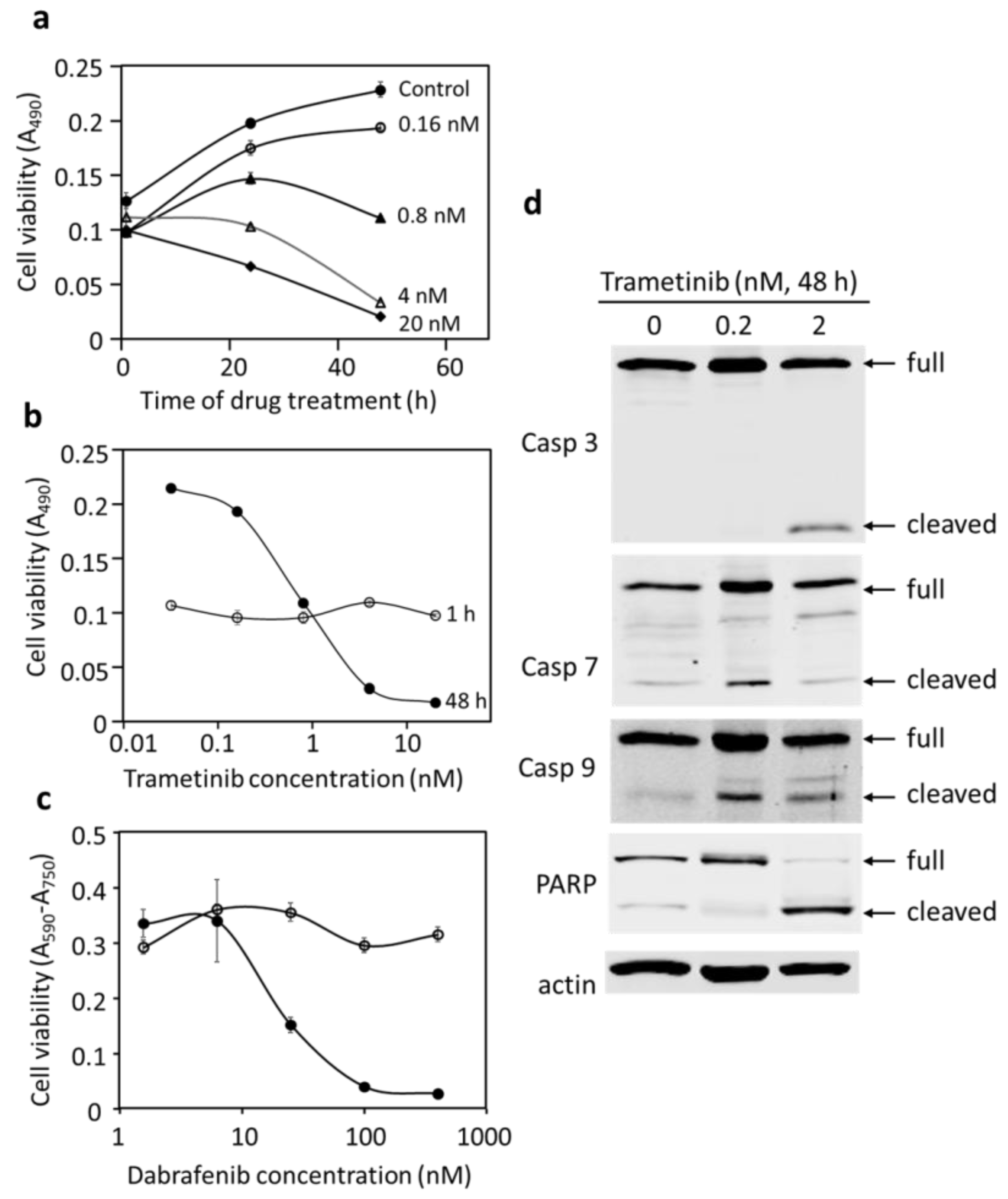 Cancers 14 04027 g003