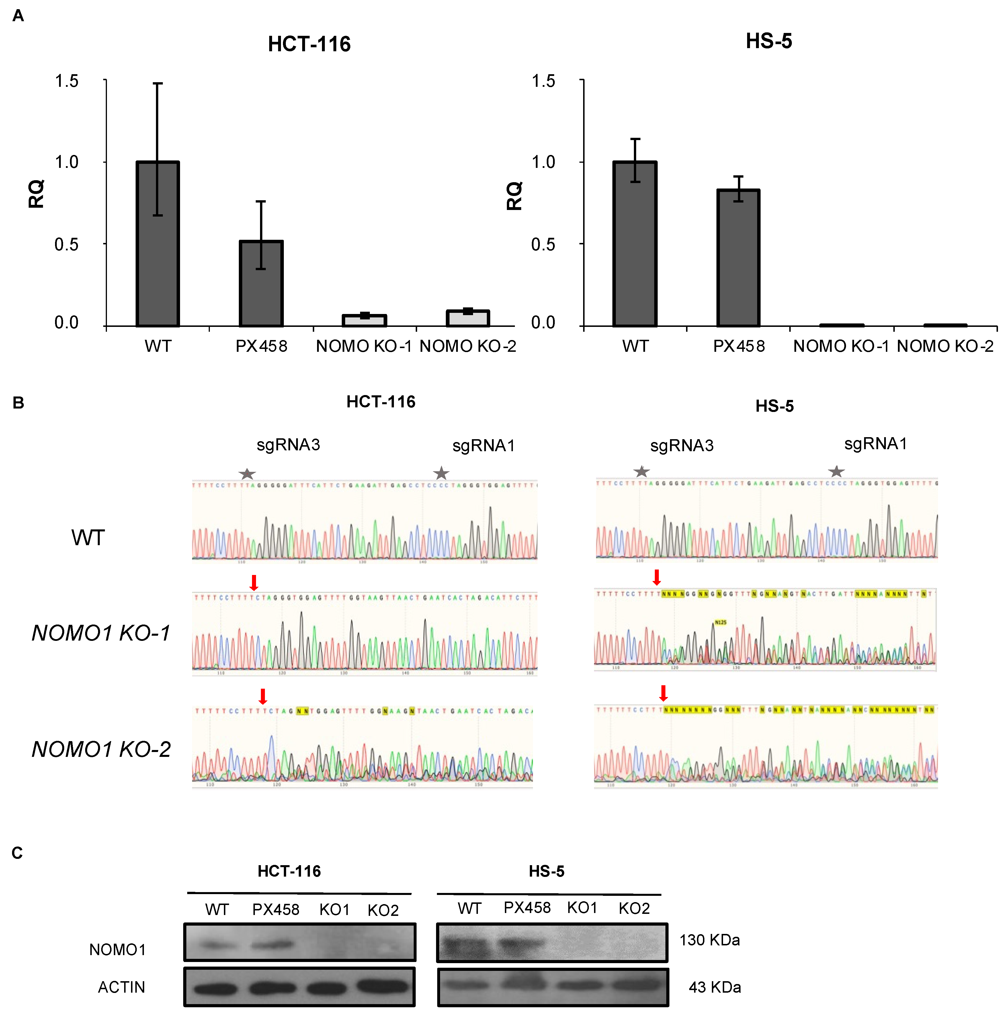 Cancers 14 04029 g002