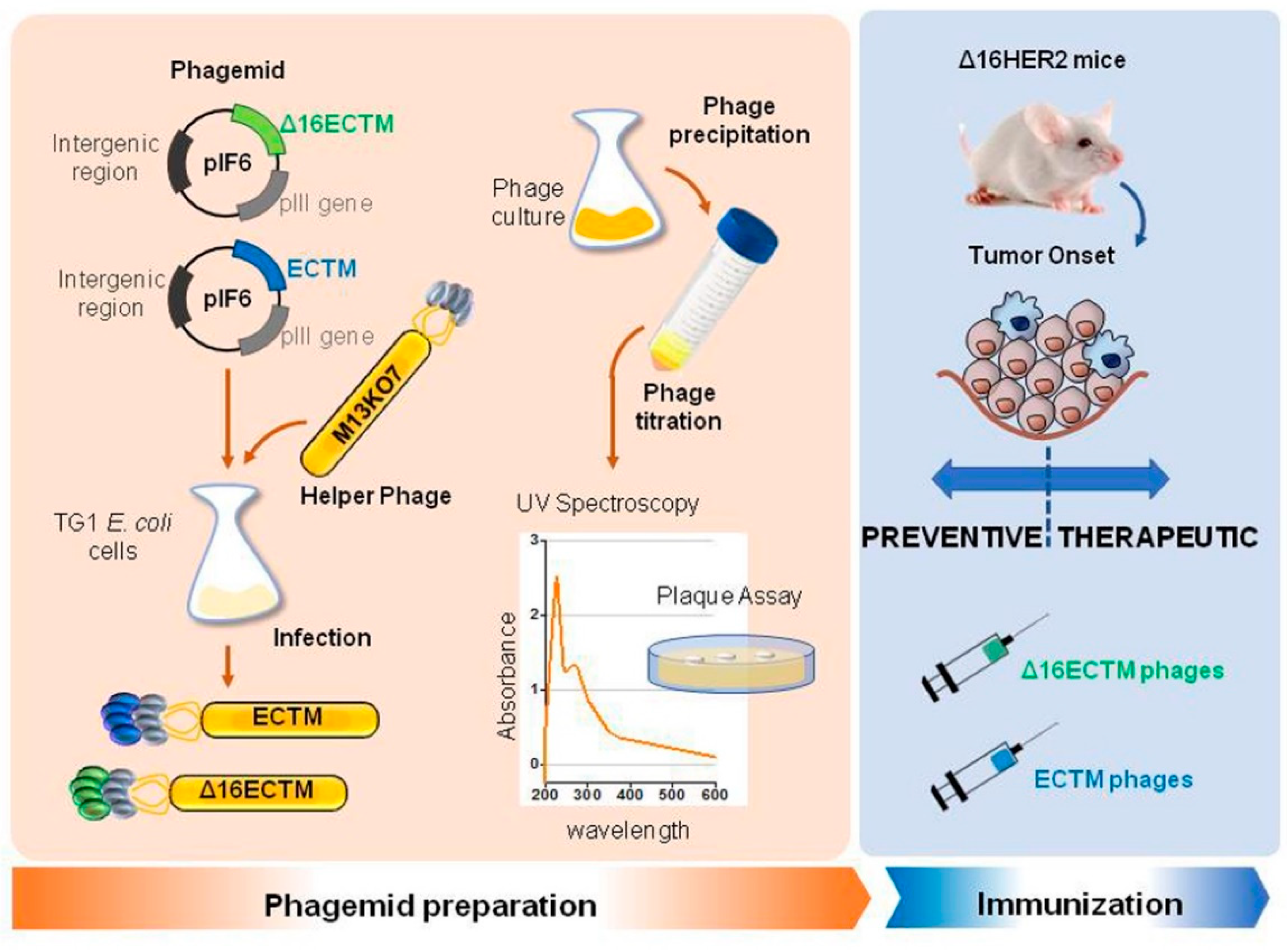 Cancers 14 04054 g001