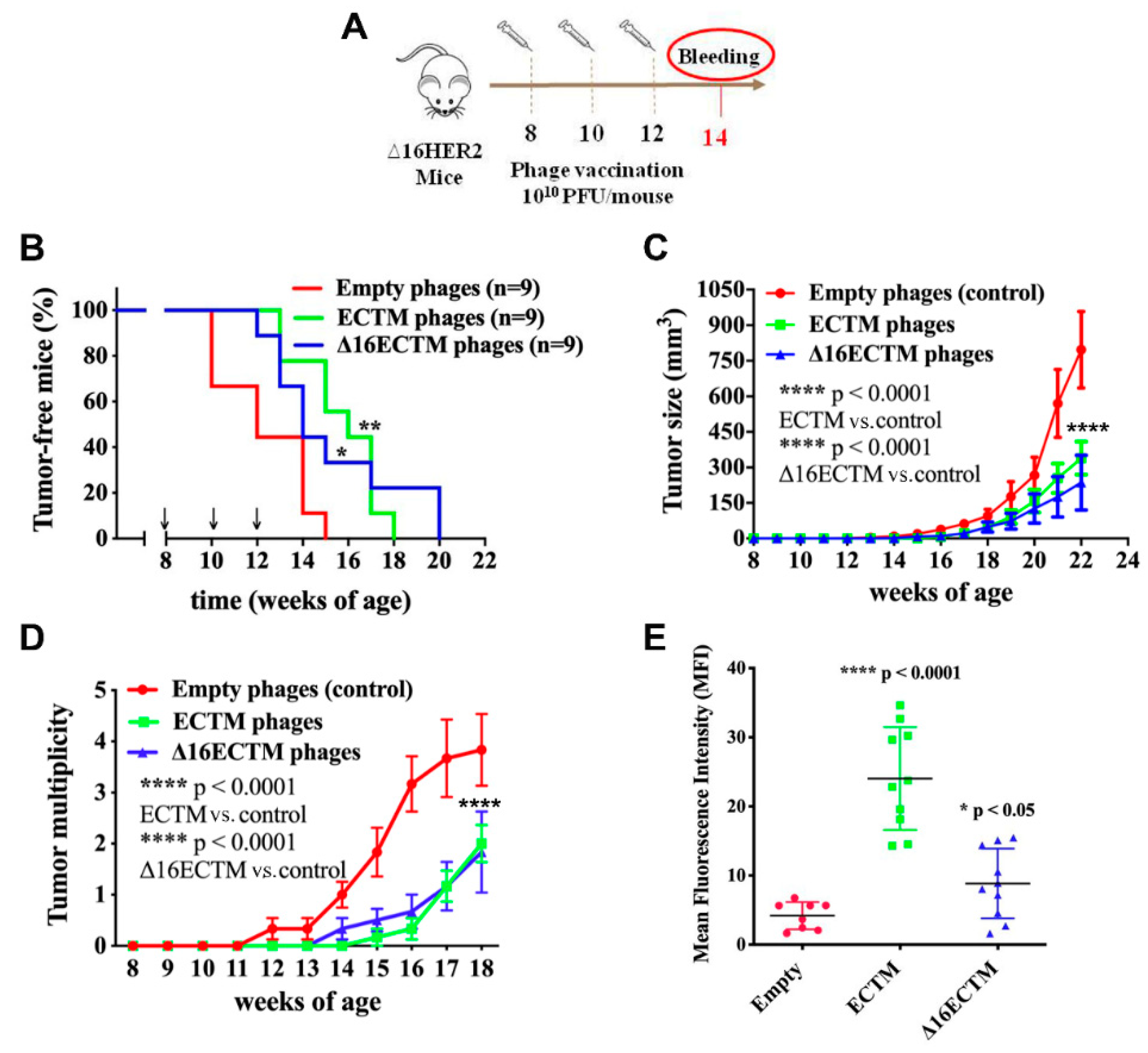 Cancers 14 04054 g002
