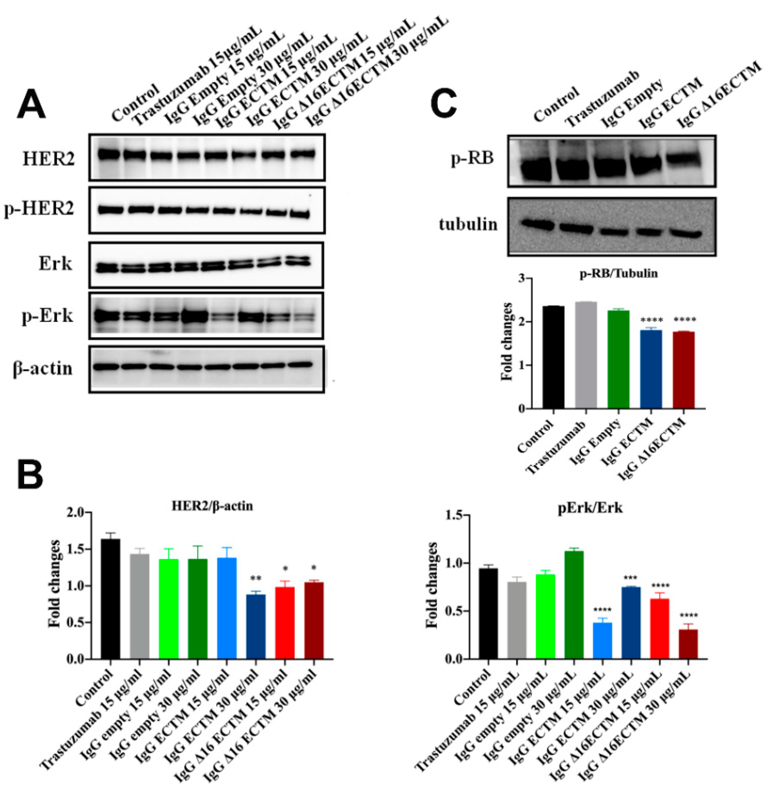 Cancers 14 04054 g008
