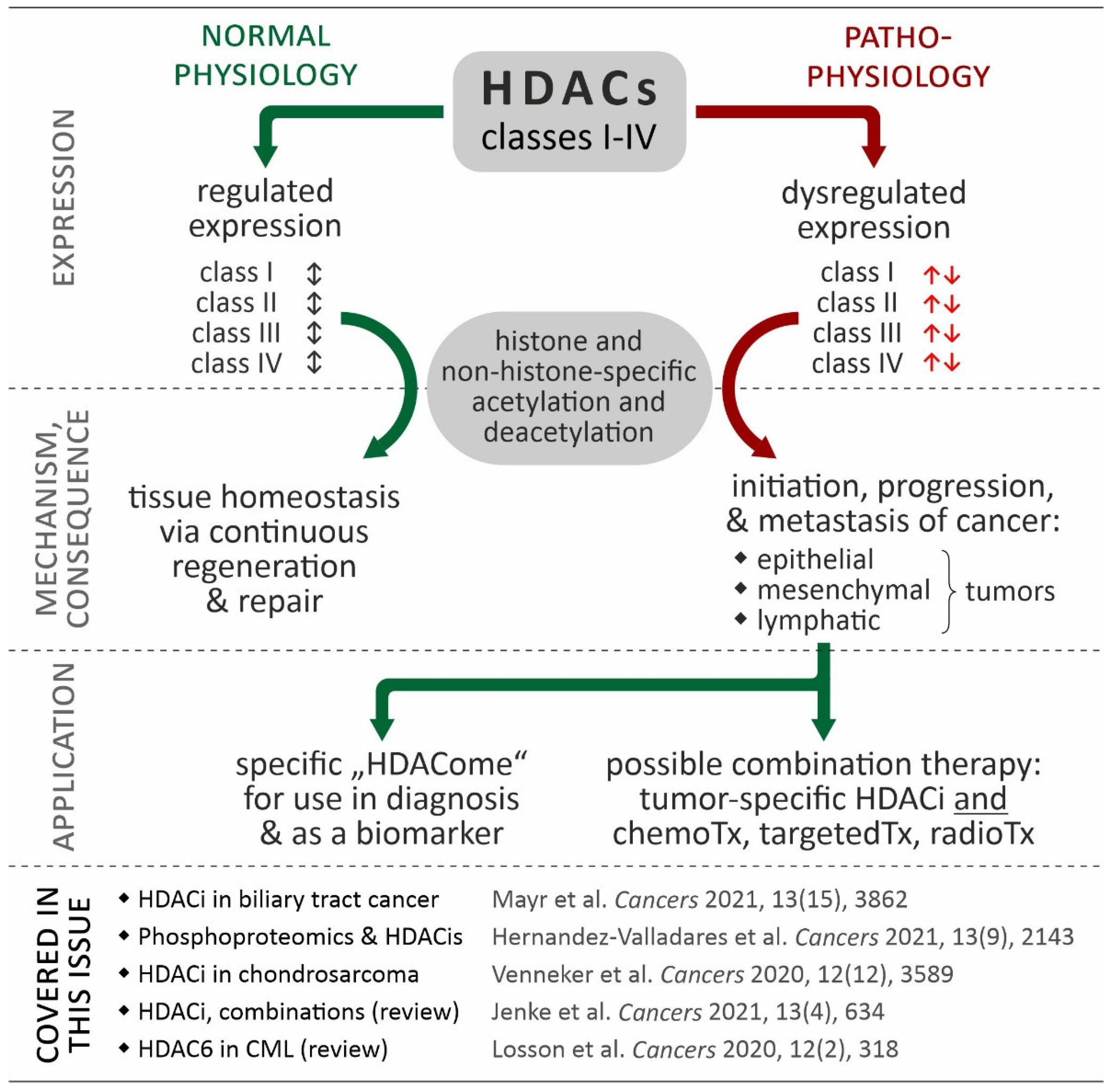 Cancers 14 04058 g001