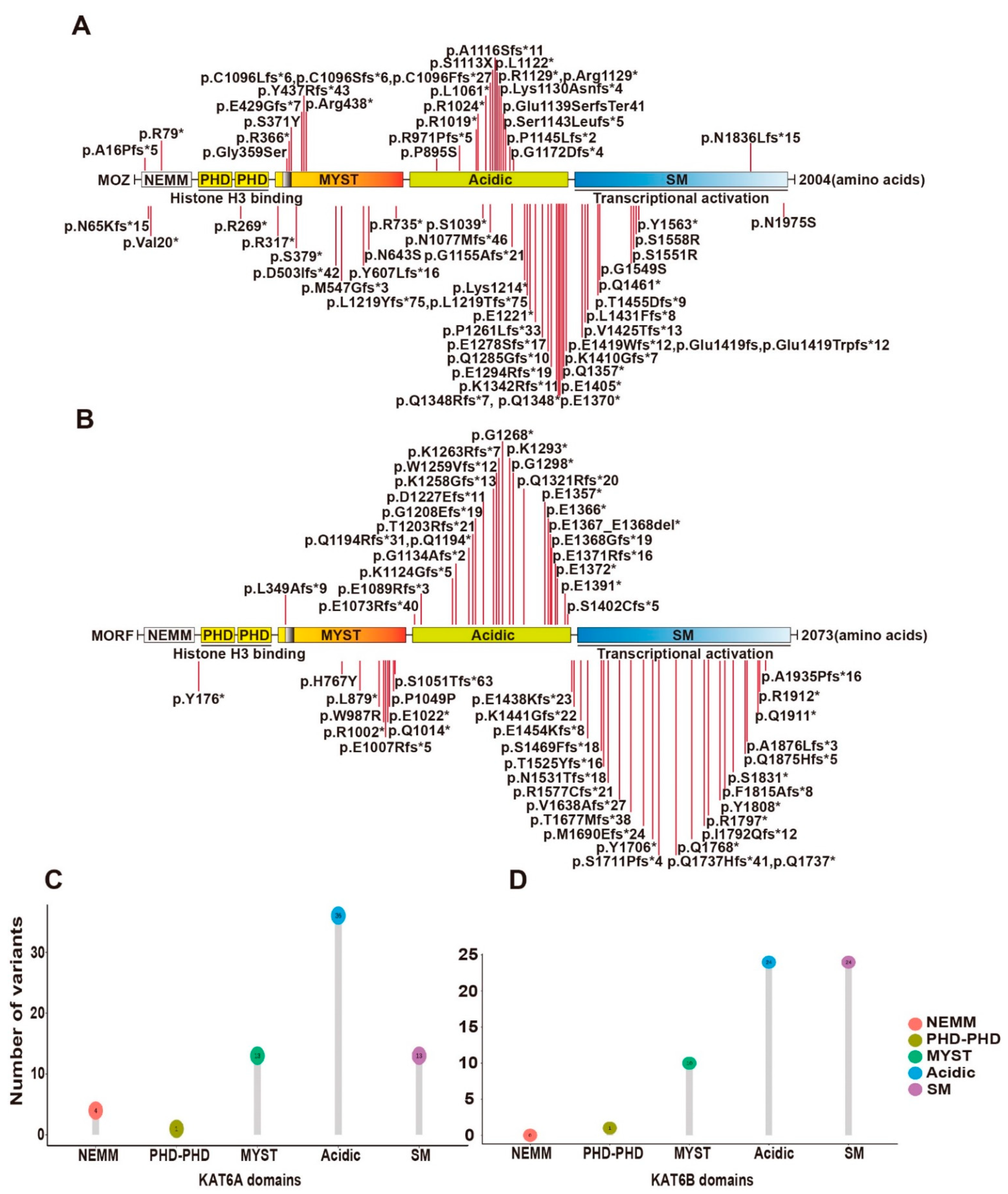 Cancers 14 04068 g003