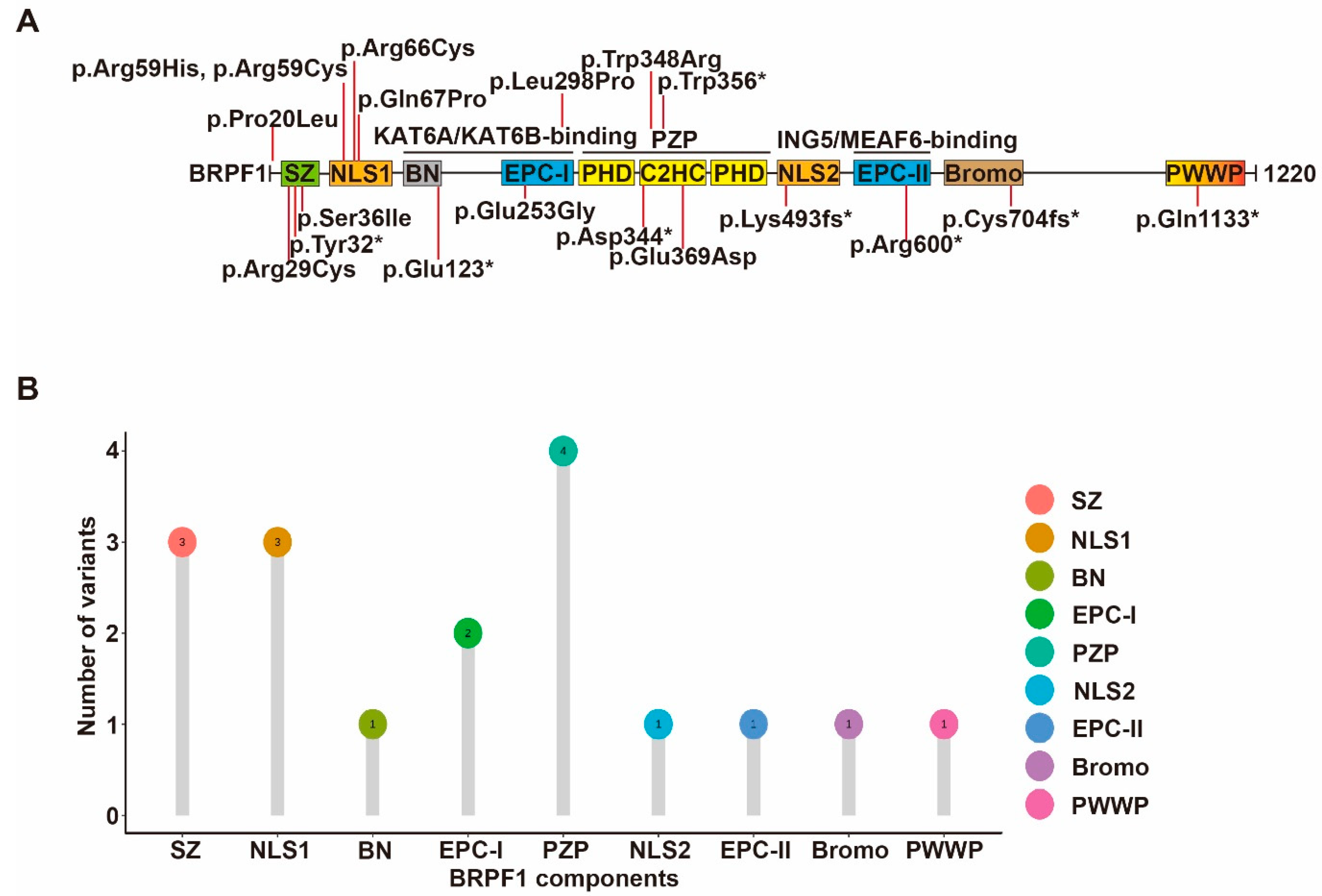 Cancers 14 04068 g004