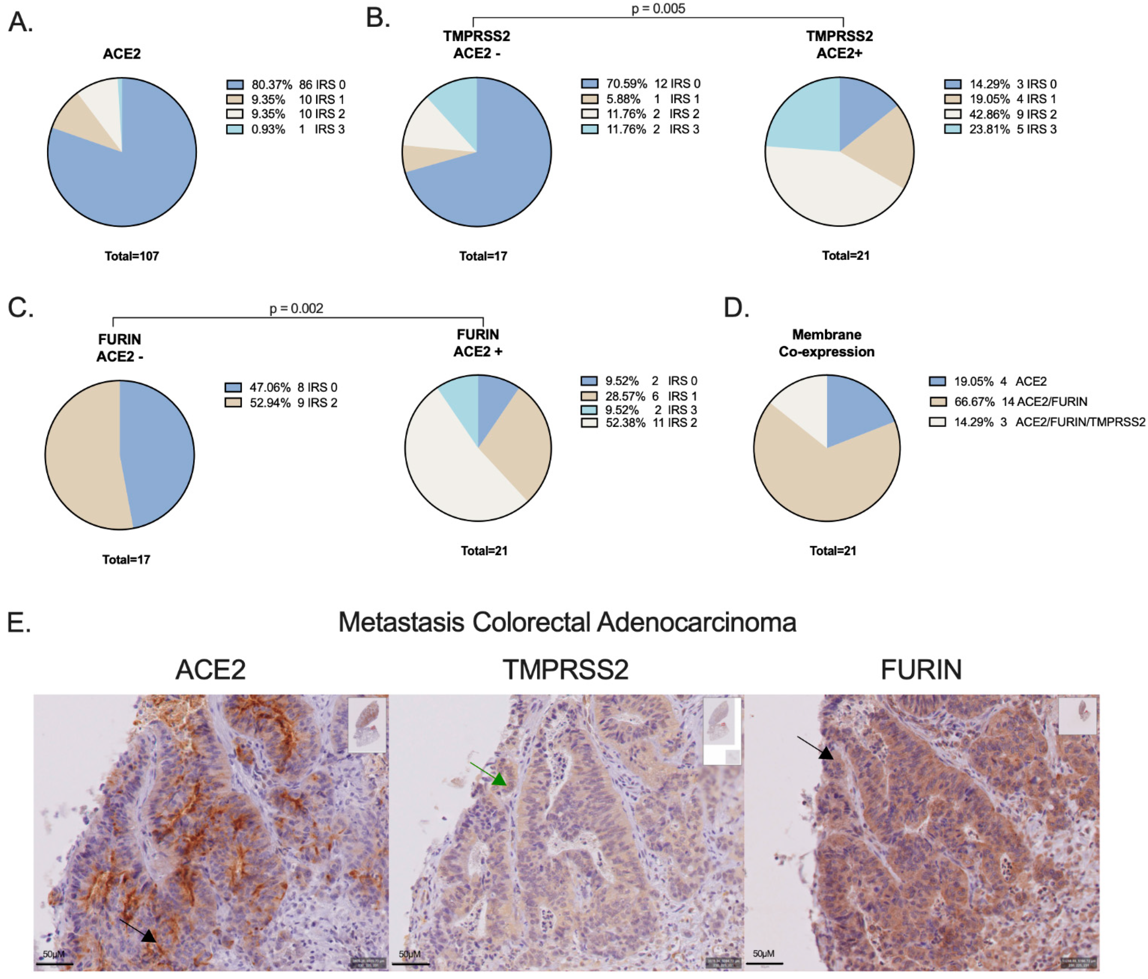Cancers 14 04074 g002