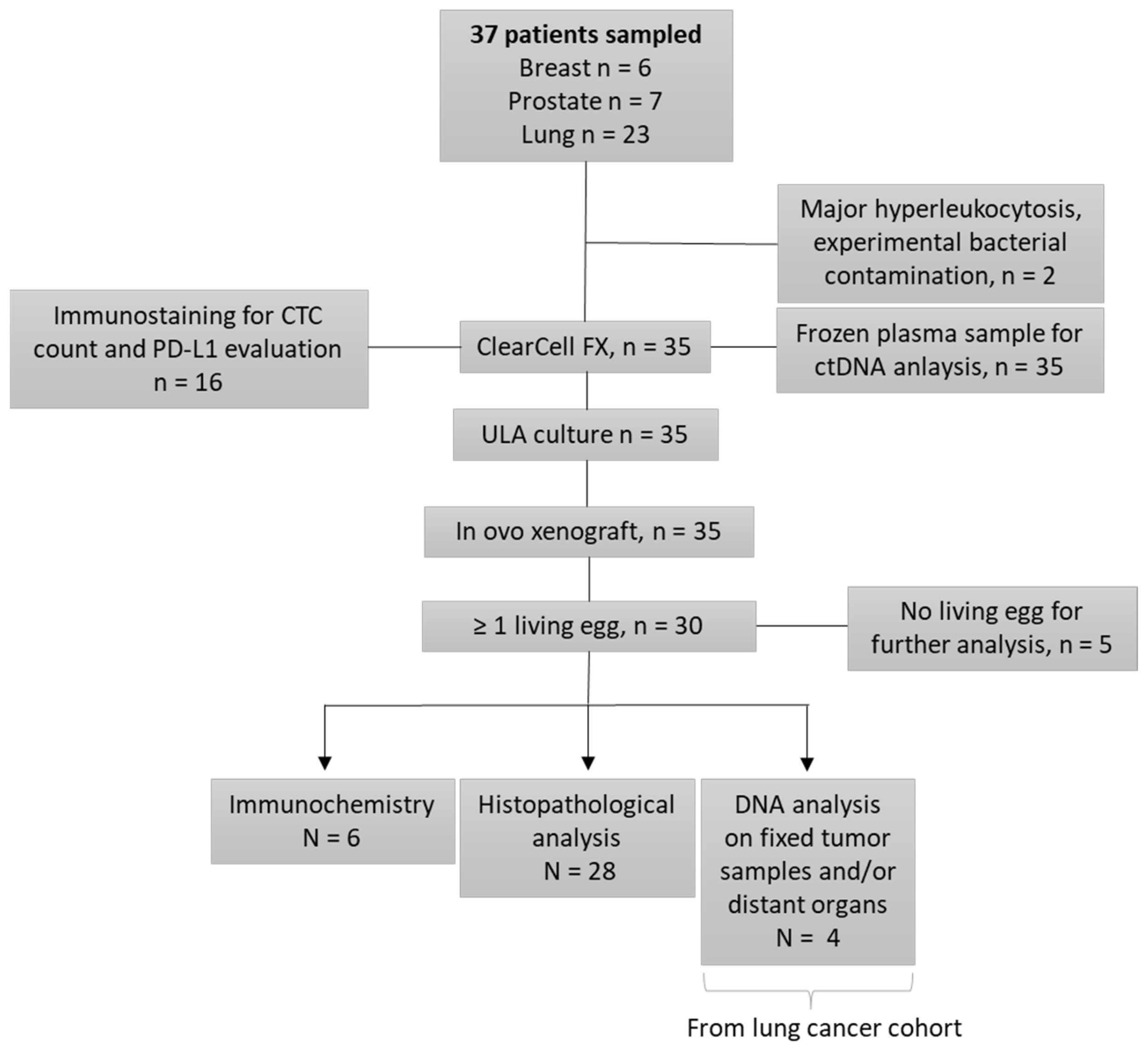 Cancers 14 04085 g001