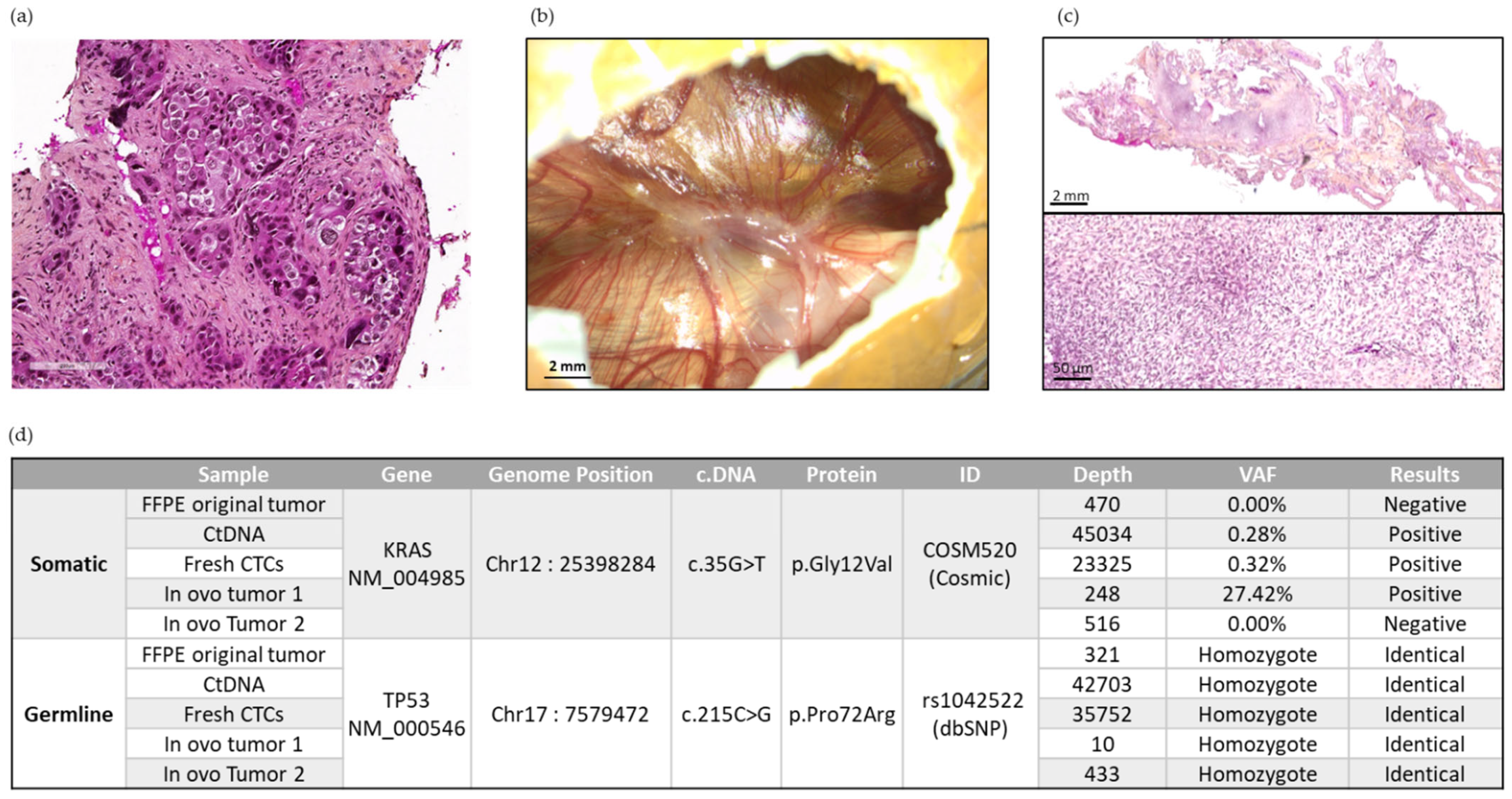 Cancers 14 04085 g007