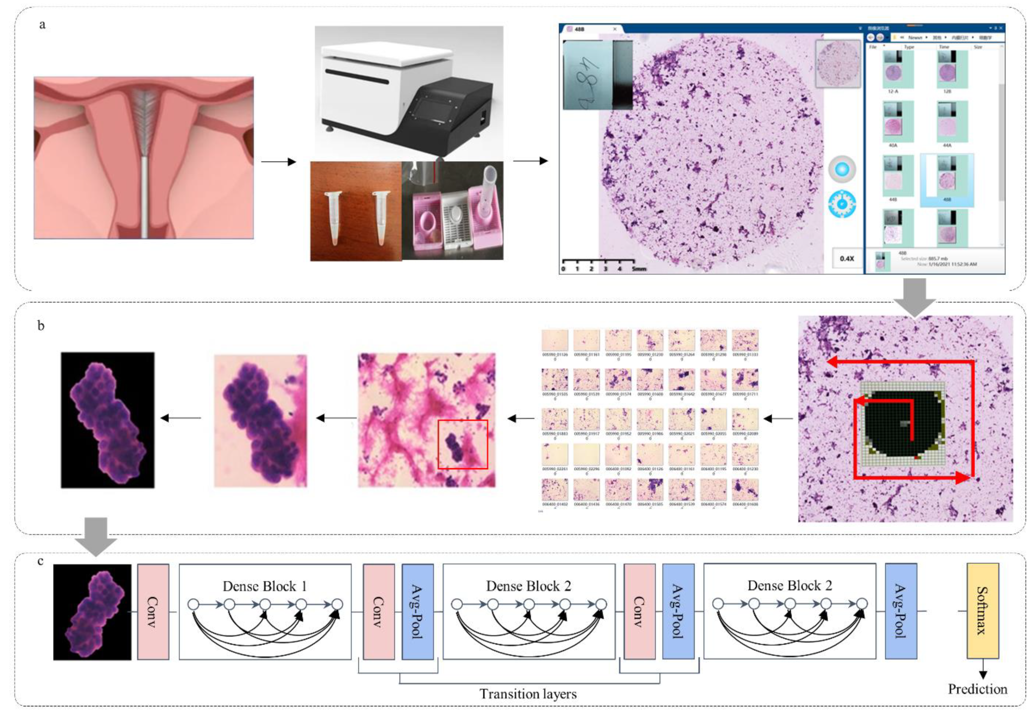 Cancers 14 04109 g001