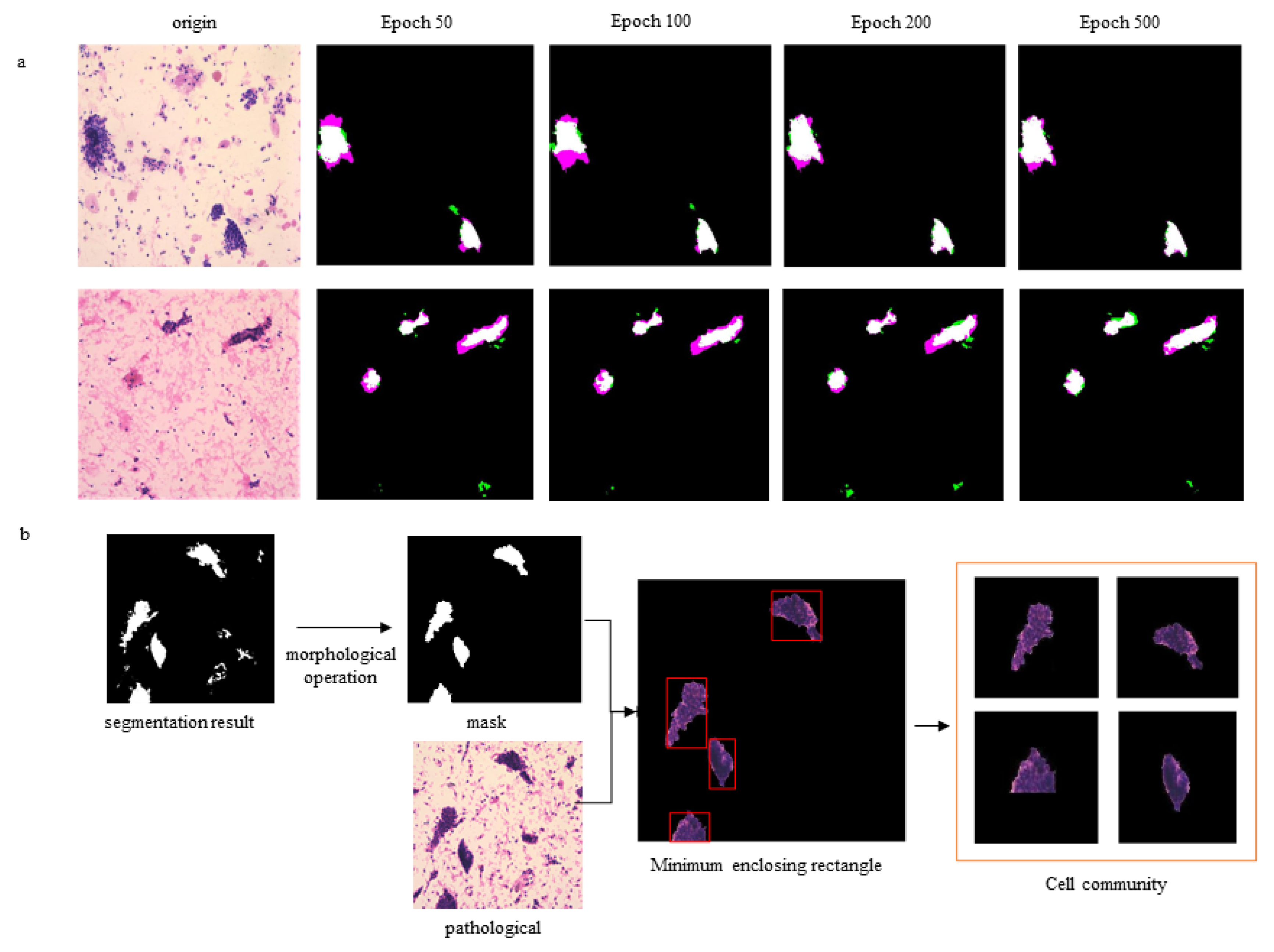 Cancers 14 04109 g003