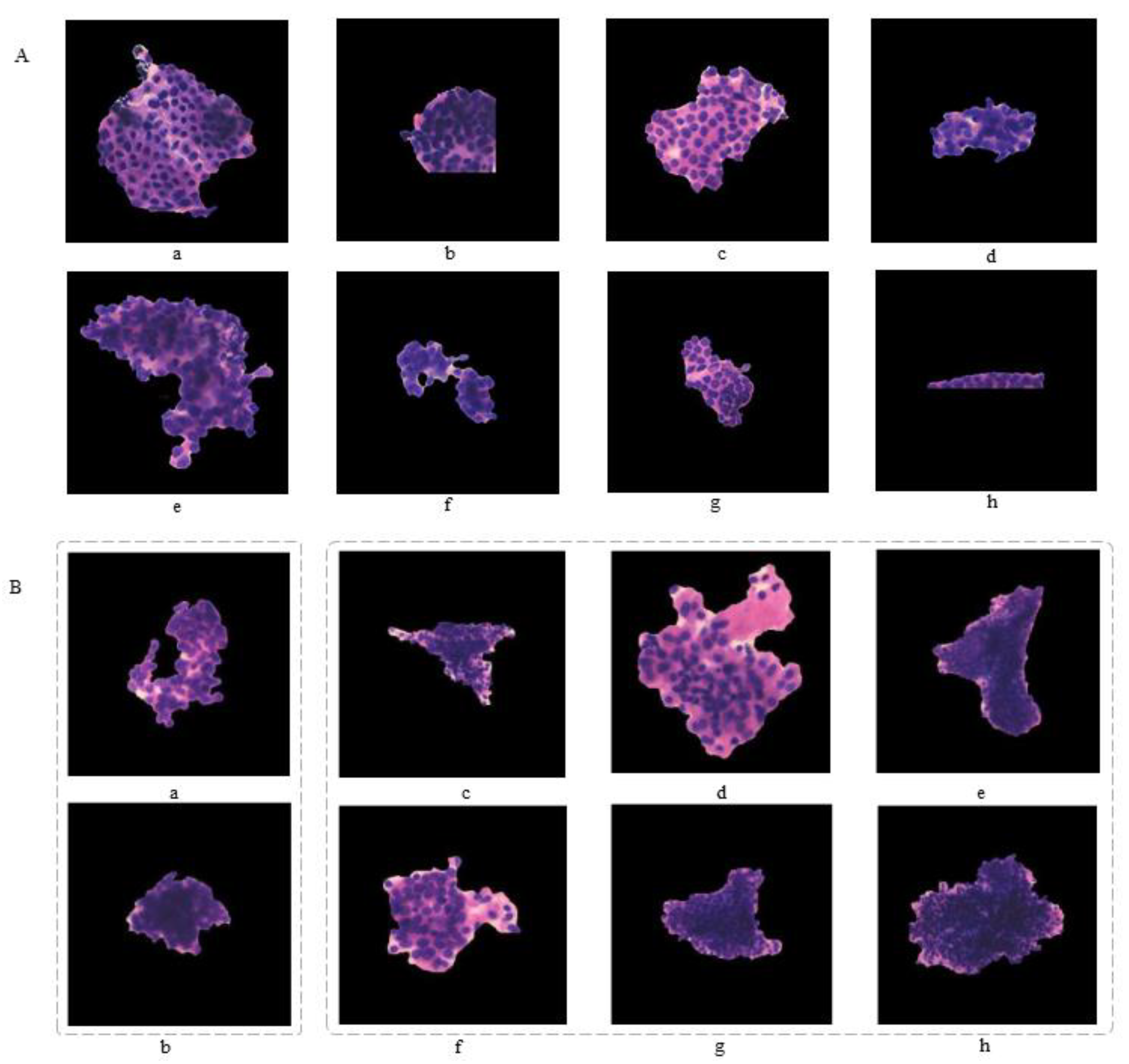 Cancers 14 04109 g006