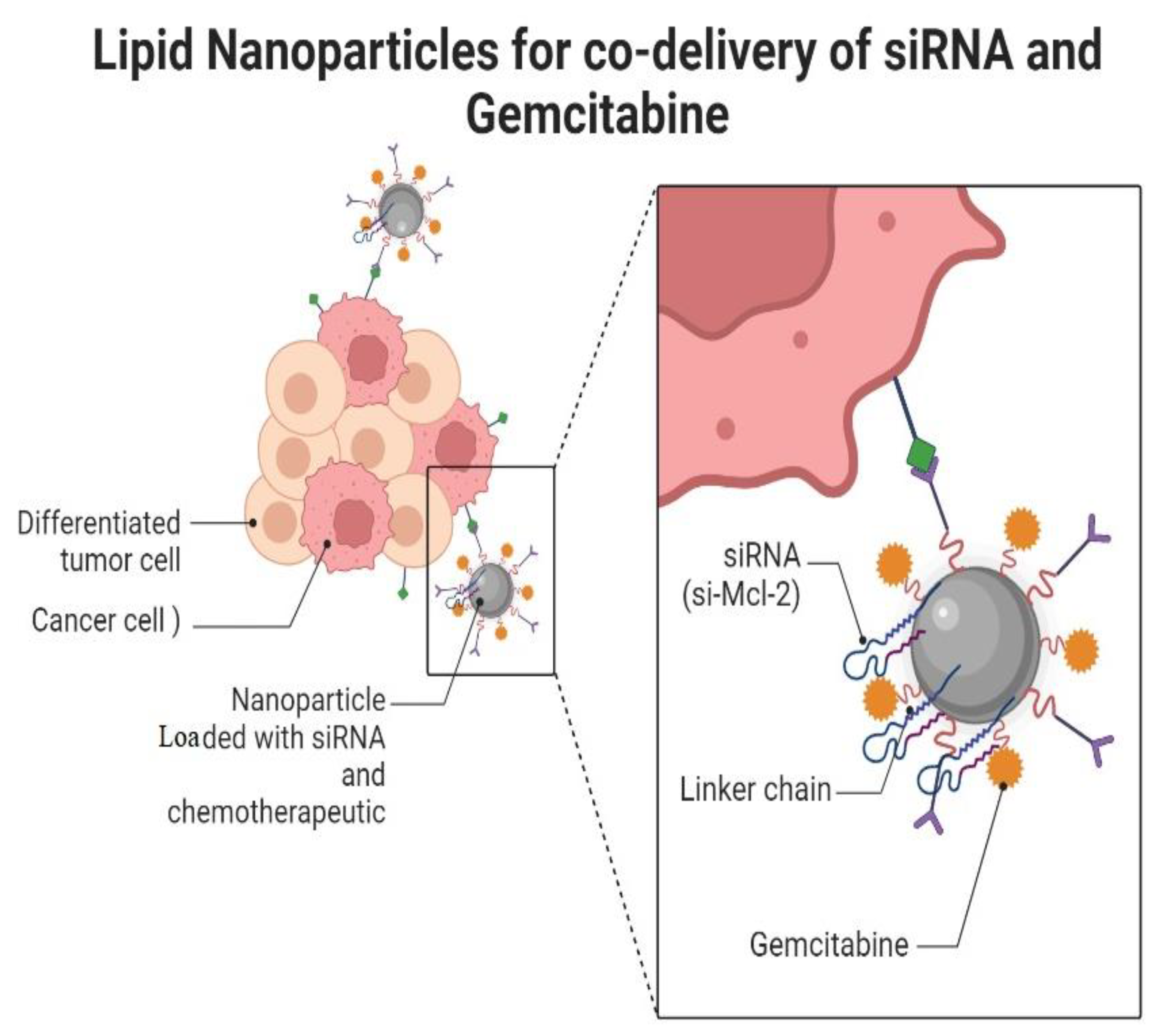 Cancers 14 04123 g002