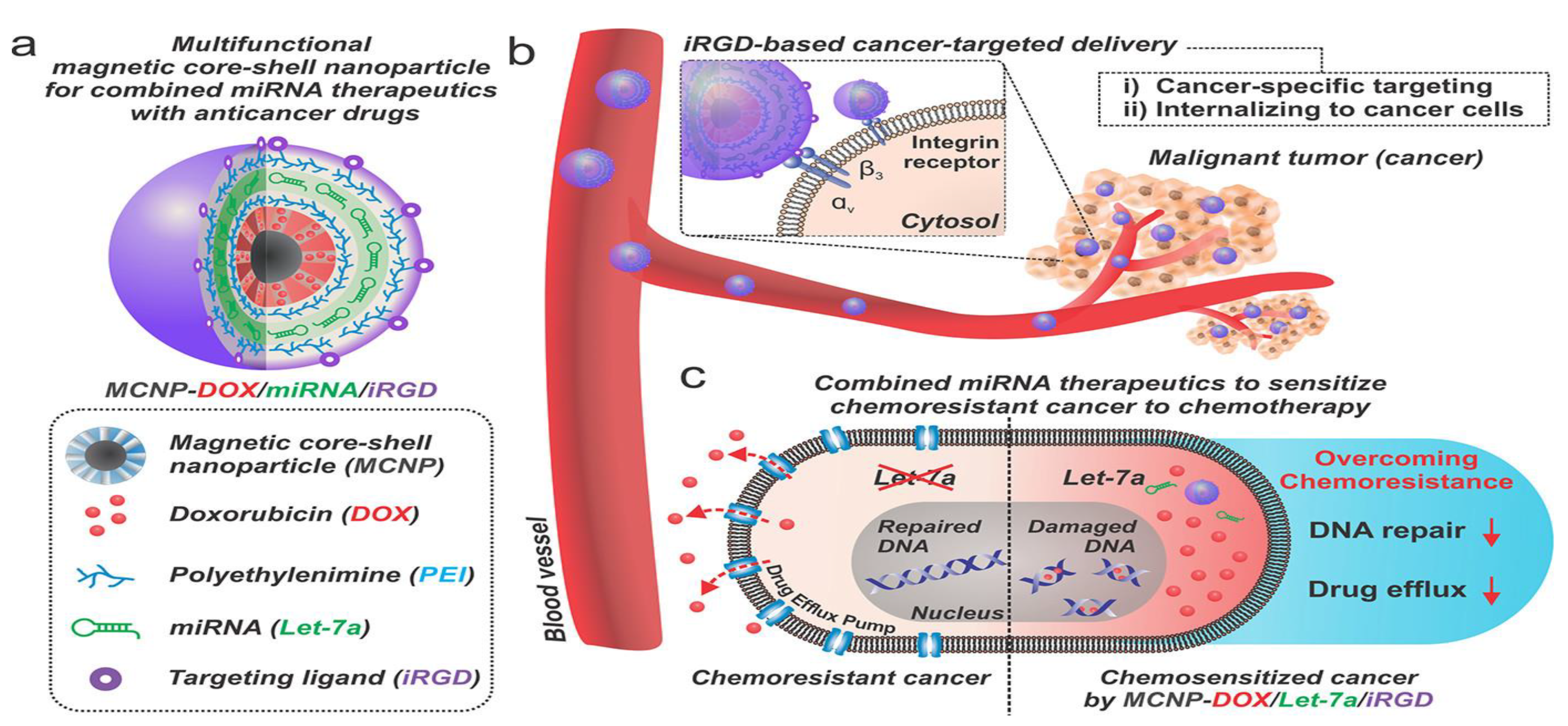 Cancers 14 04123 g003
