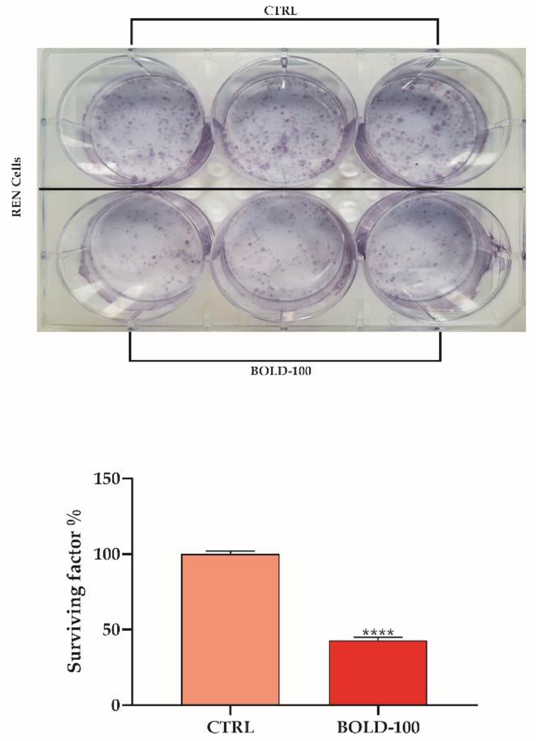 Cancers 14 04126 g001