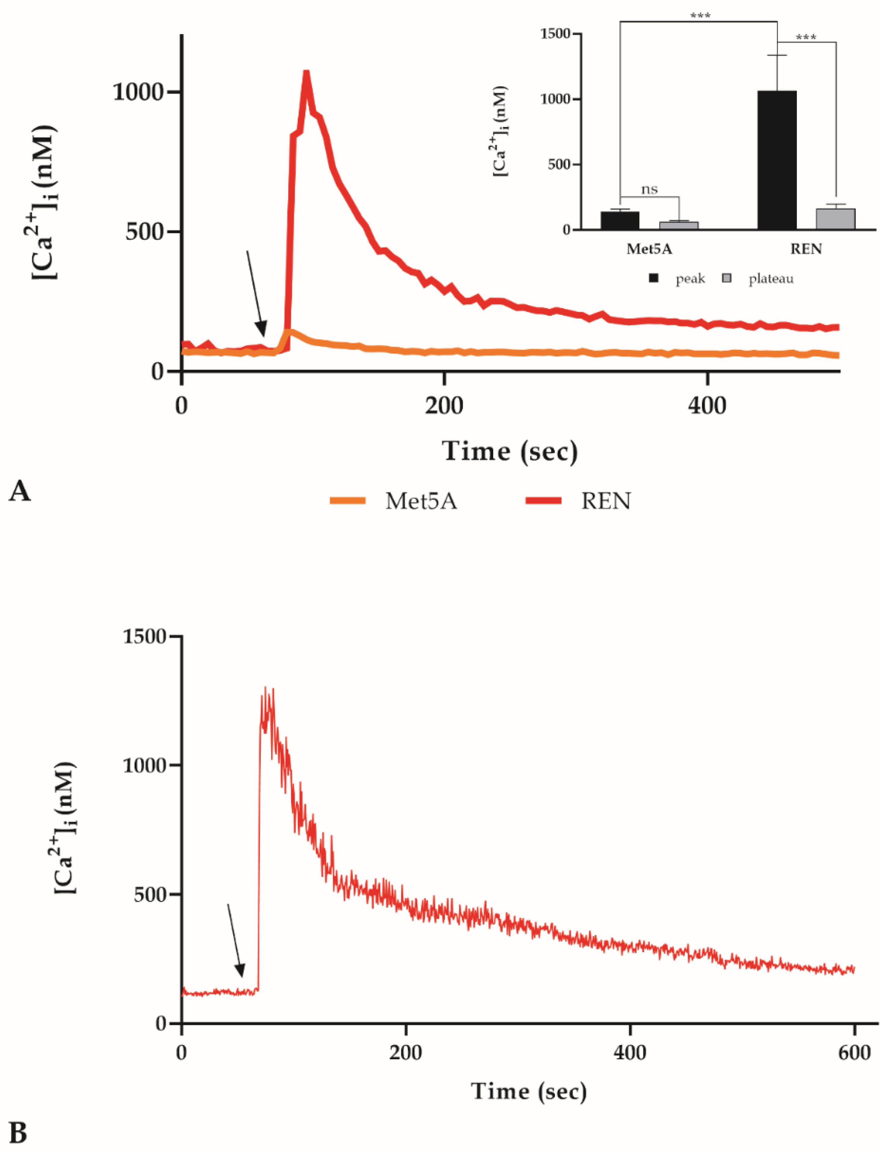 Cancers 14 04126 g005