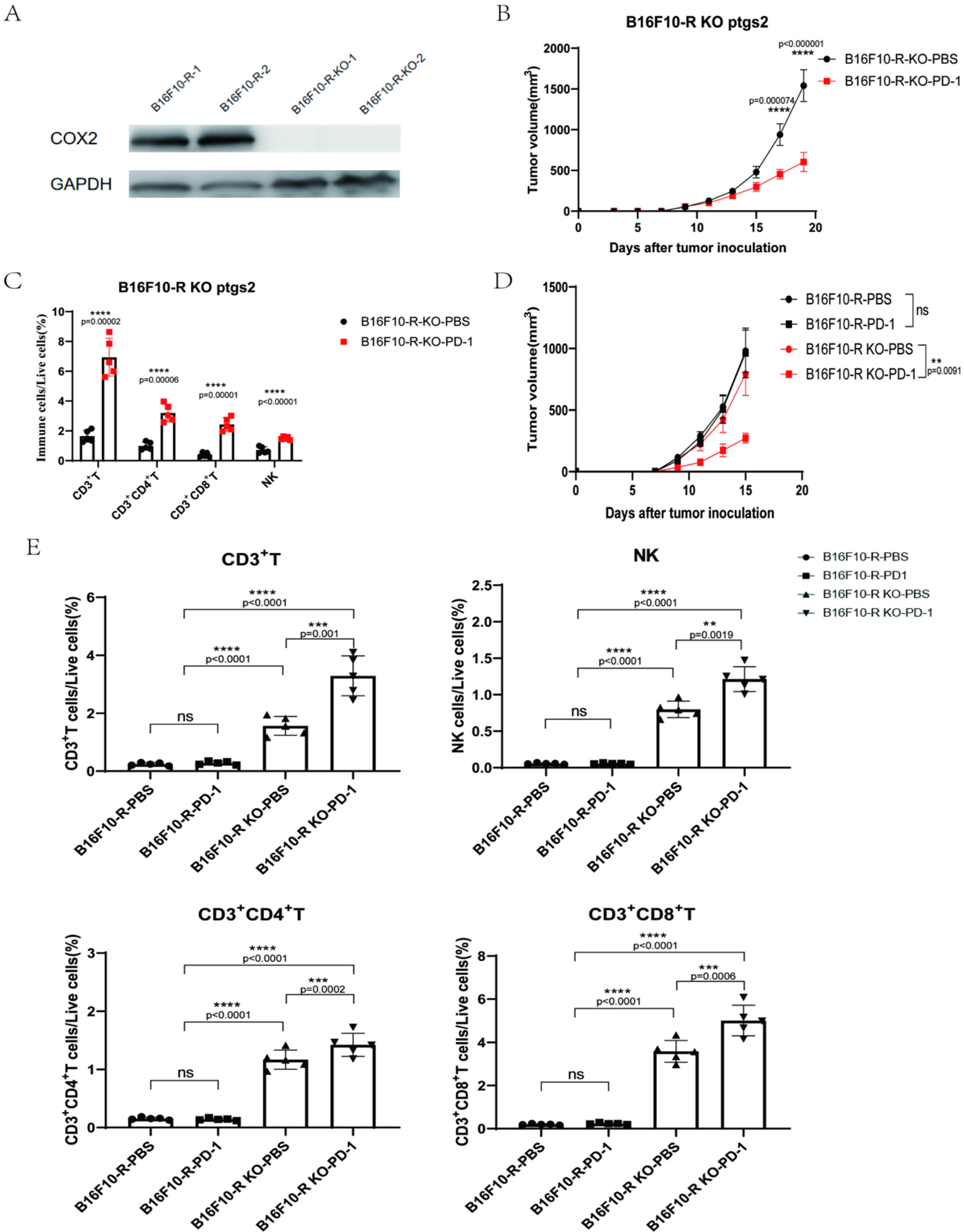 Cancers 14 04134 g005