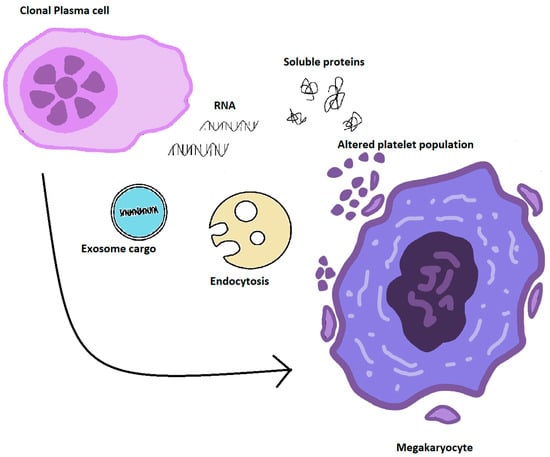 Cancers 14 04136 g002