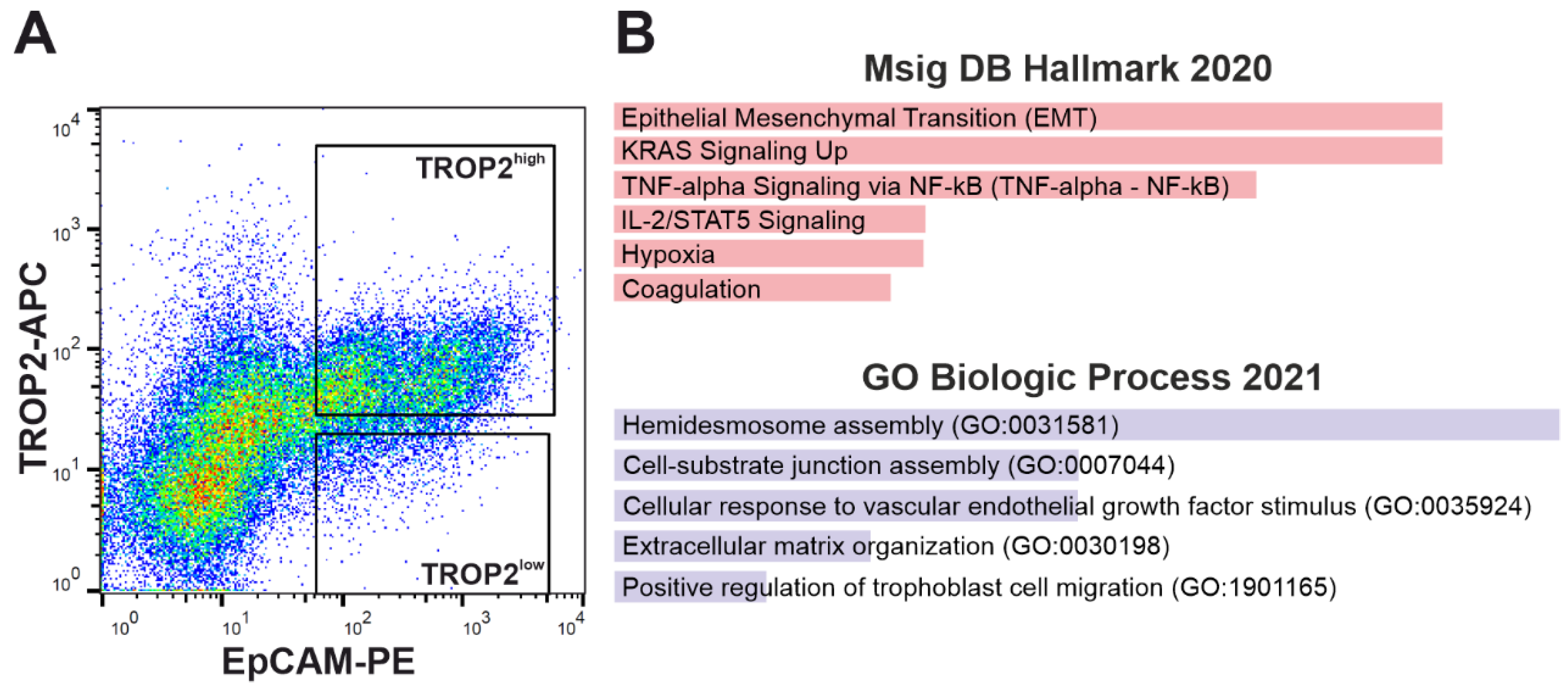 Cancers 14 04137 g003