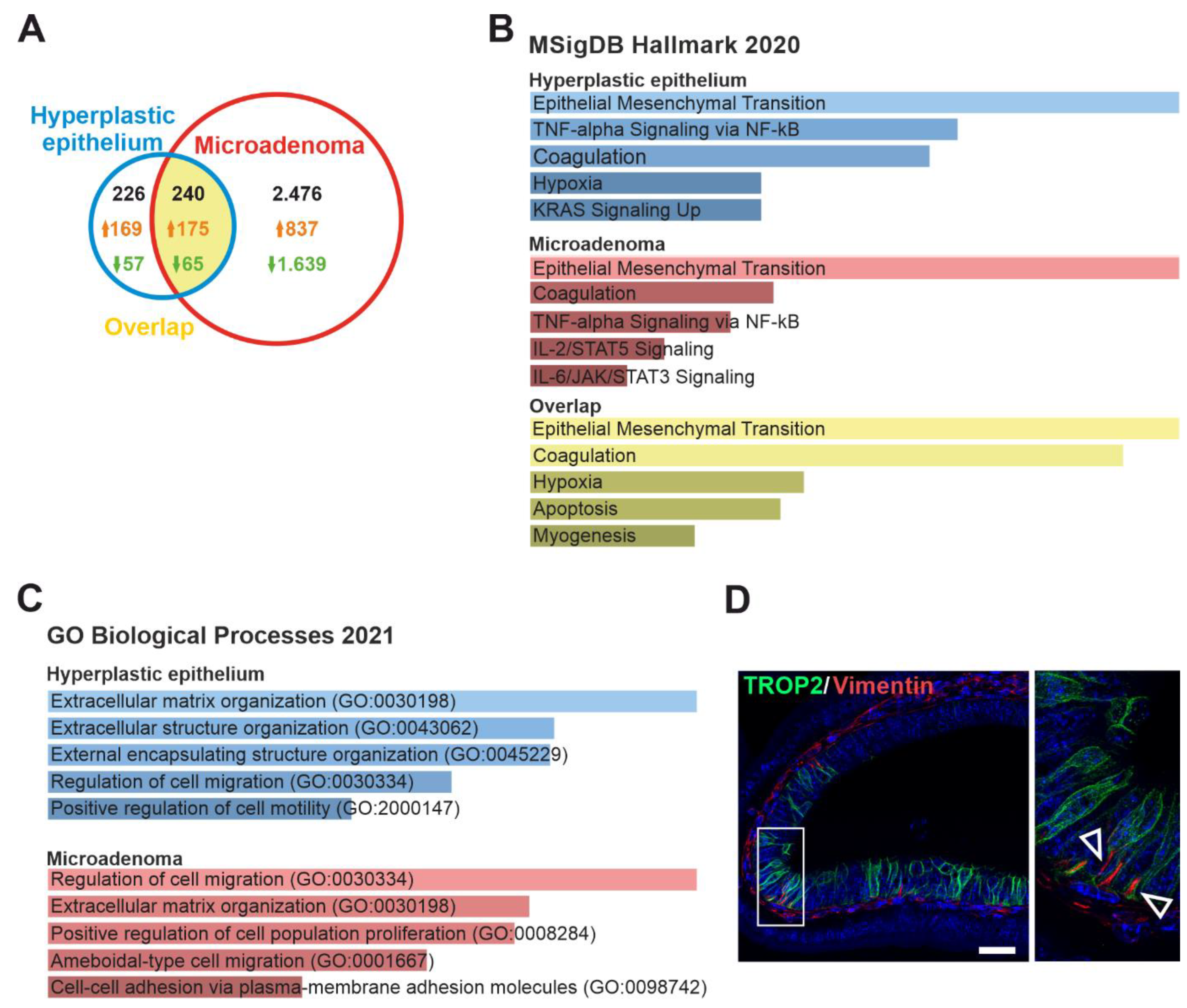 Cancers 14 04137 g005