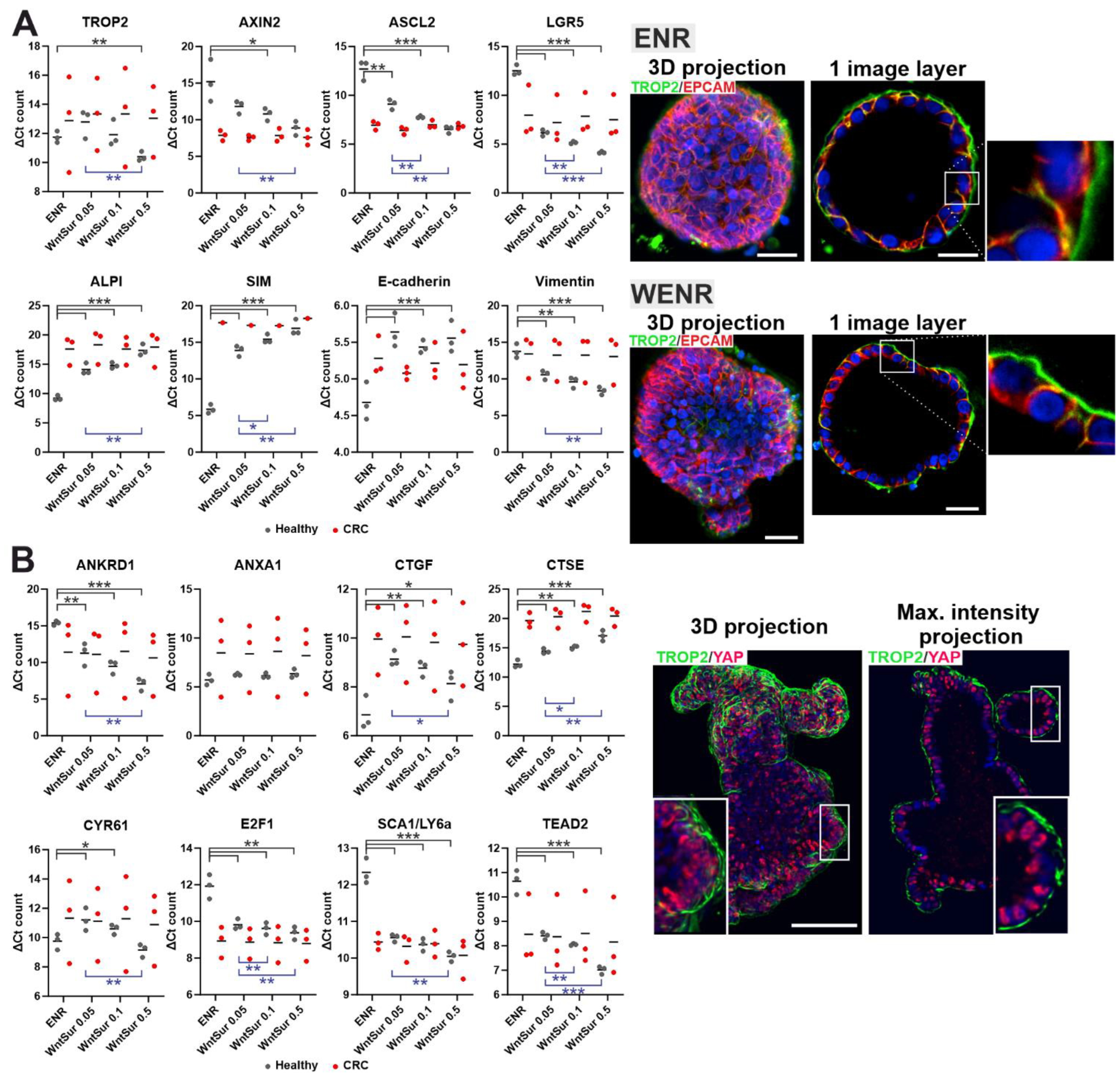 Cancers 14 04137 g006