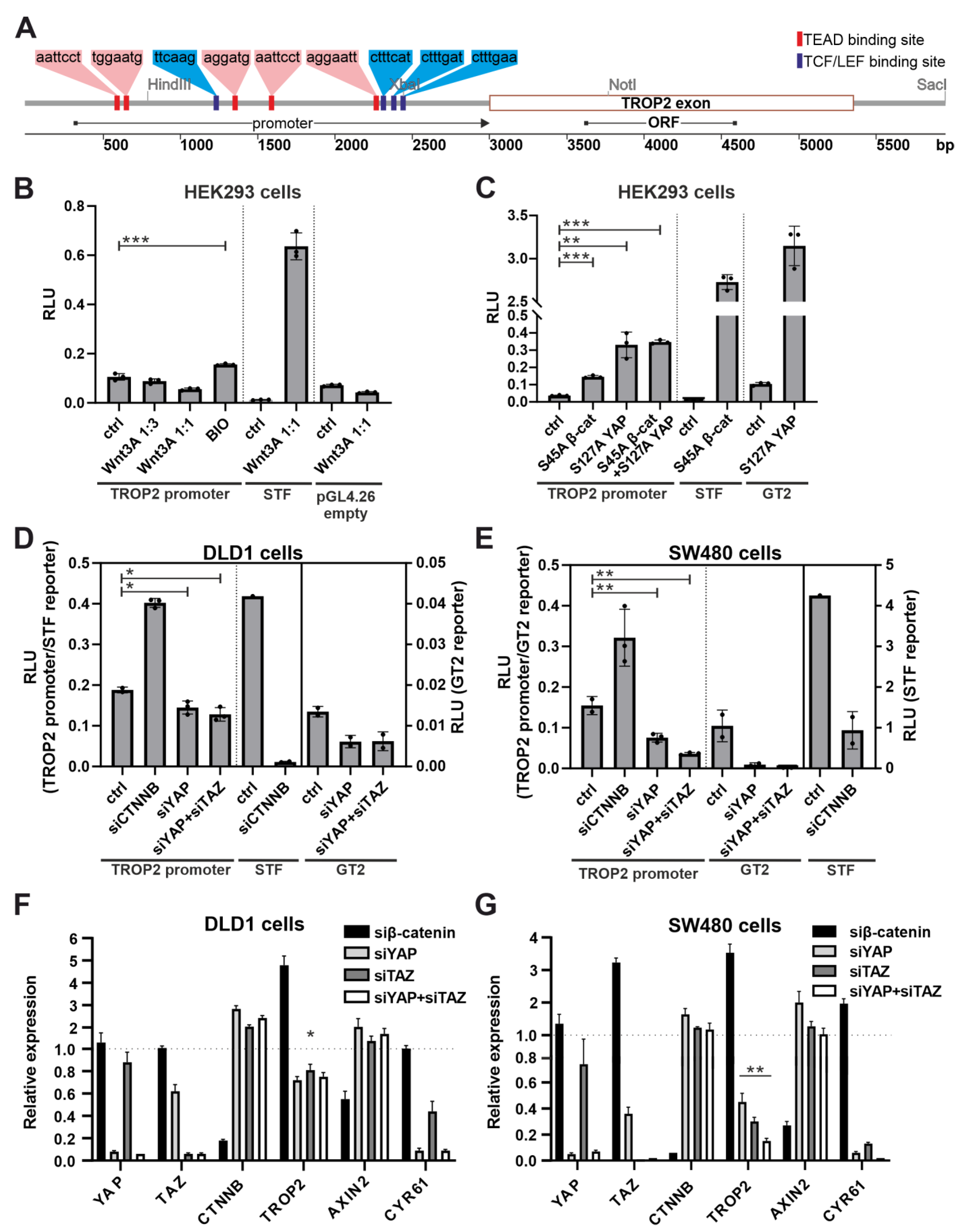 Cancers 14 04137 g007
