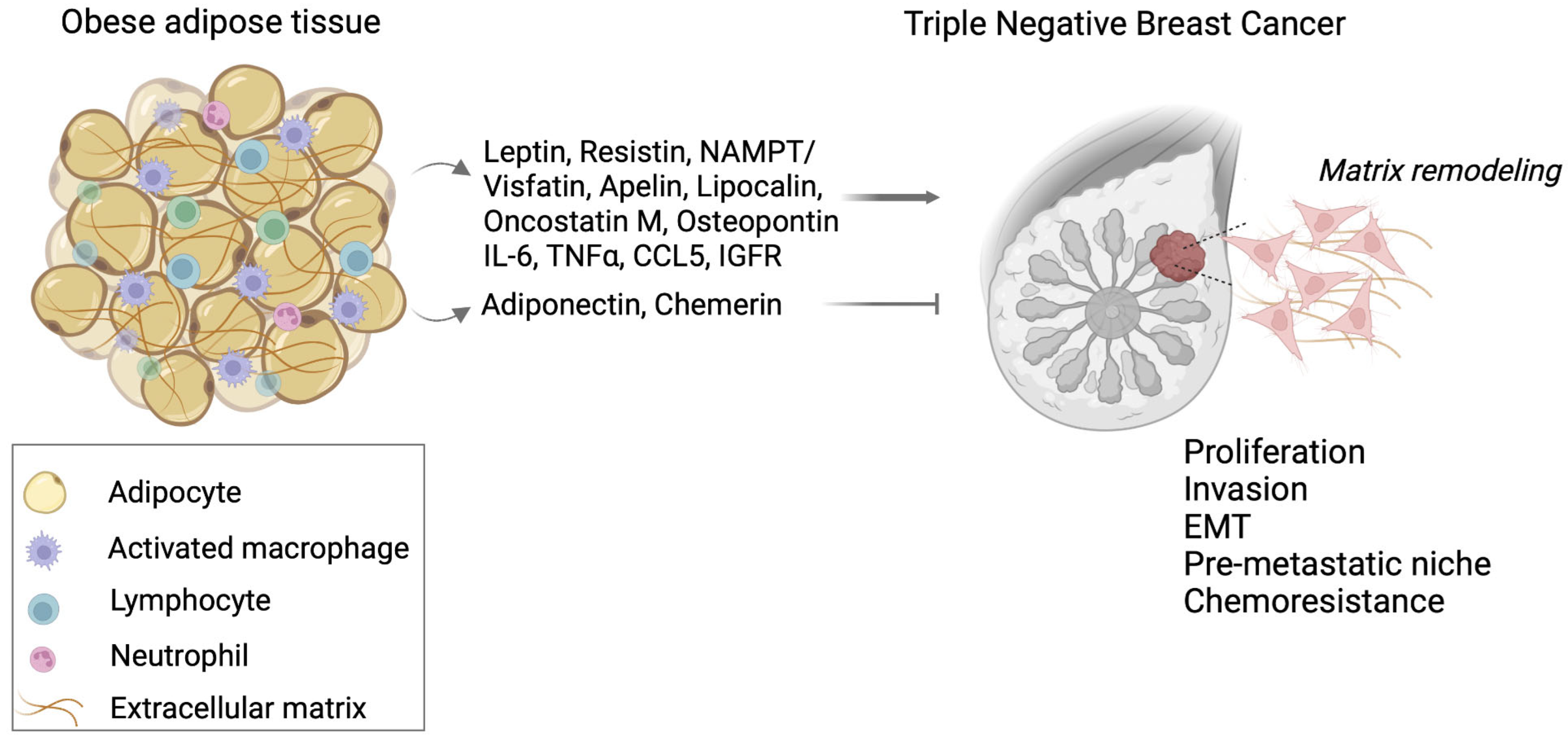 Cancers 14 04139 g001