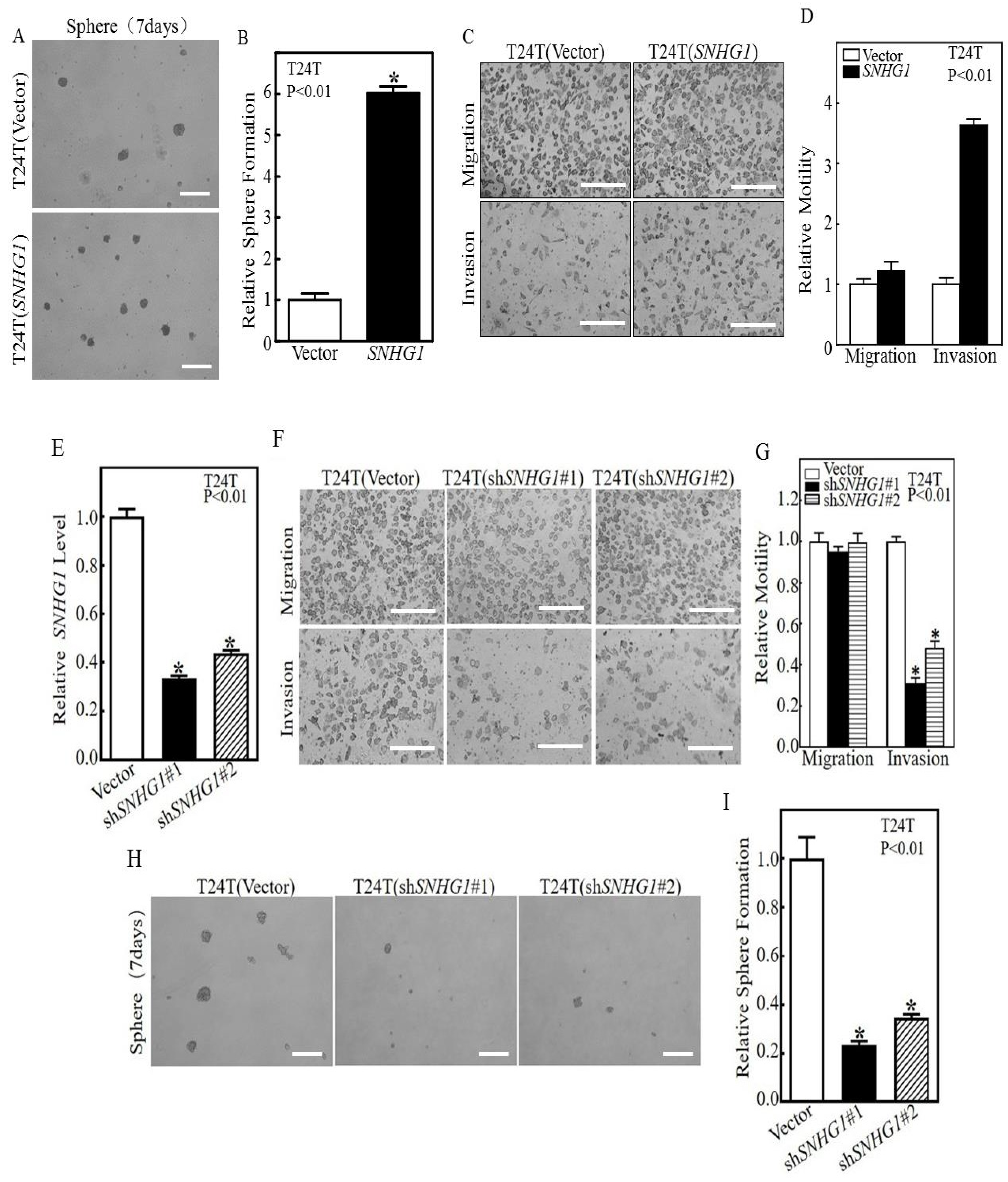 Cancers 14 04159 g001