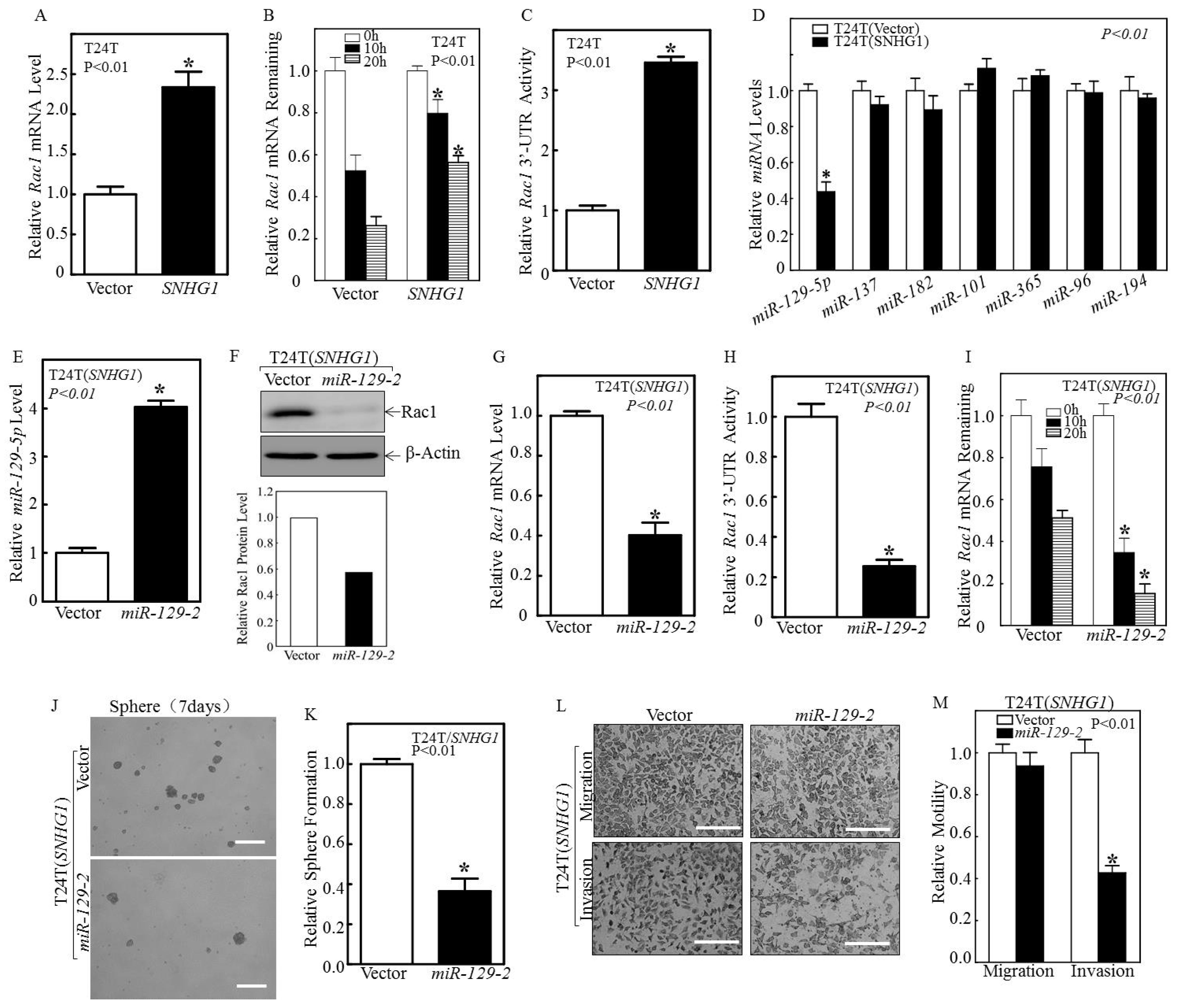 Cancers 14 04159 g003