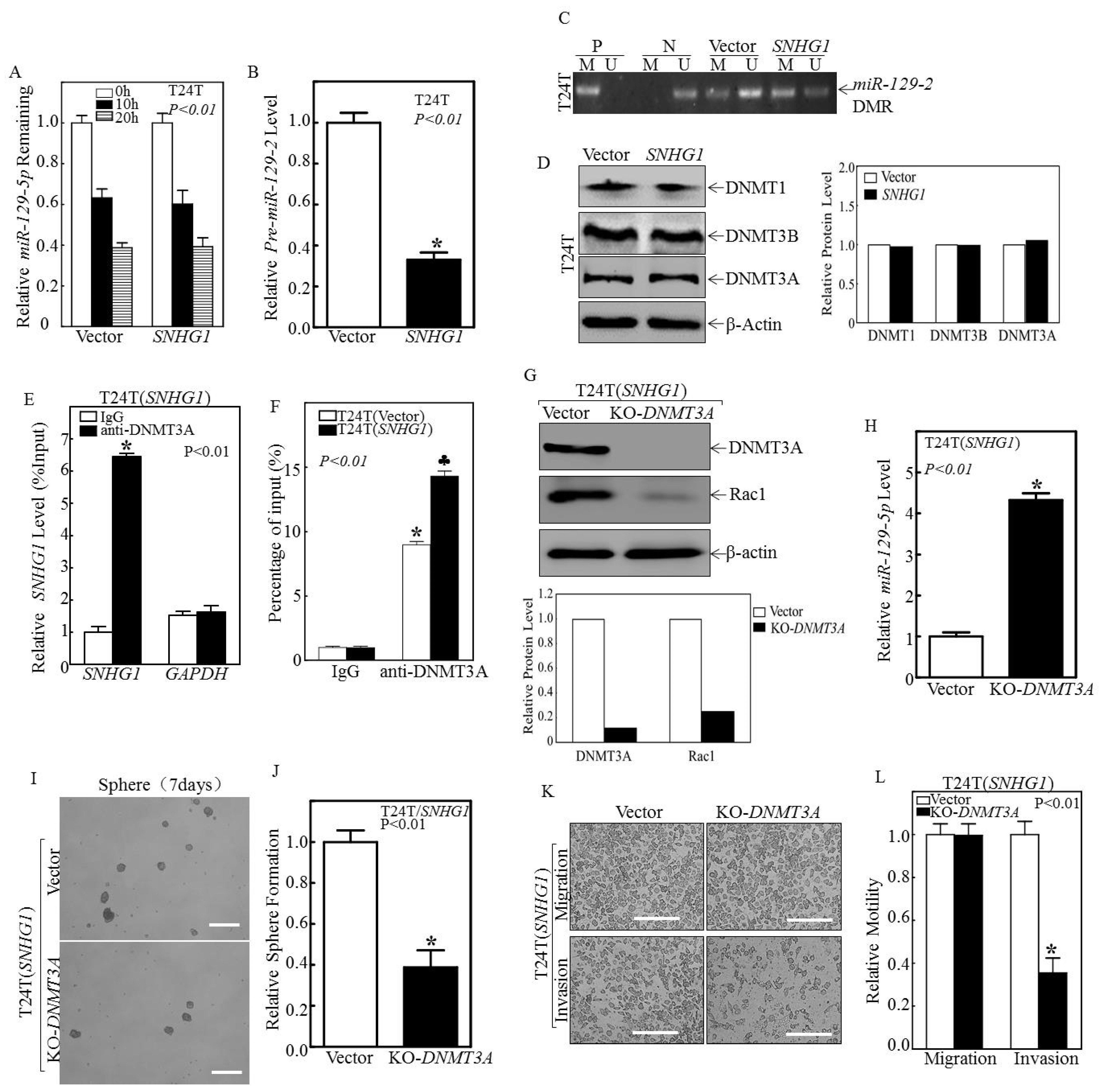 Cancers 14 04159 g004