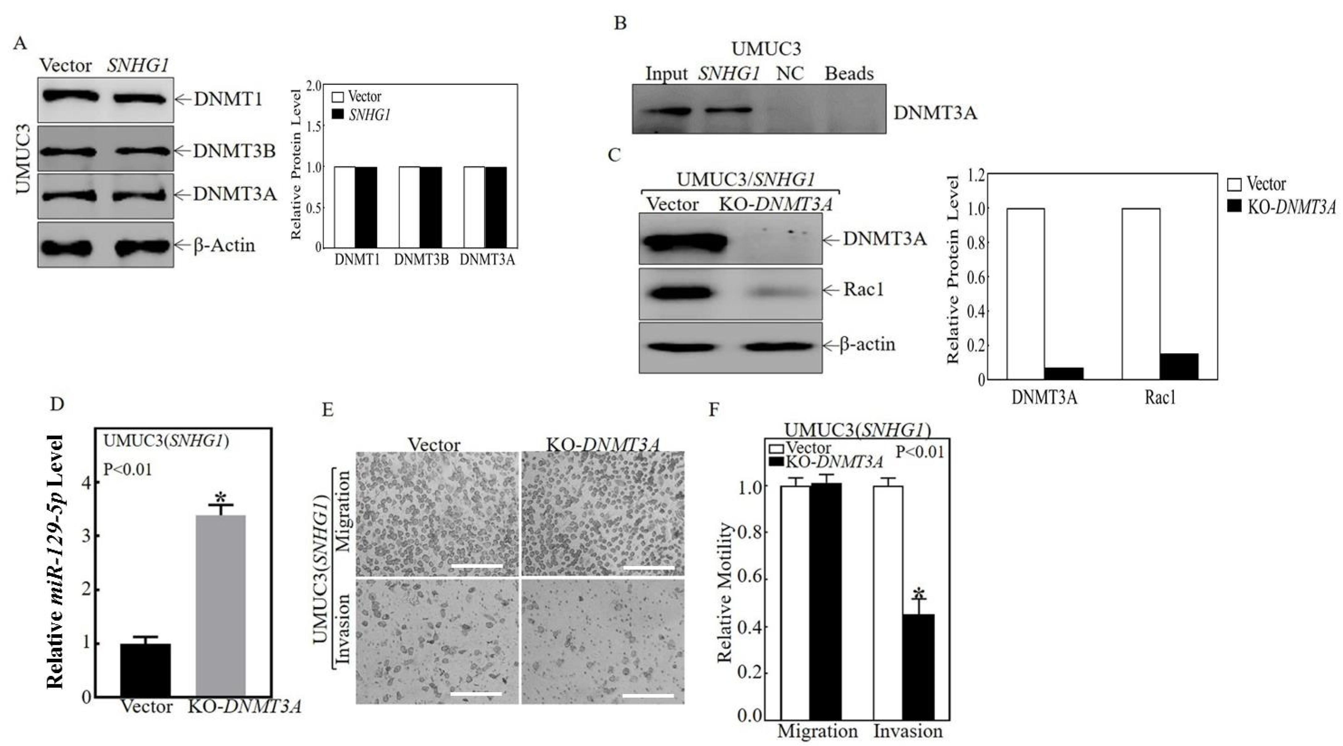 Cancers 14 04159 g005