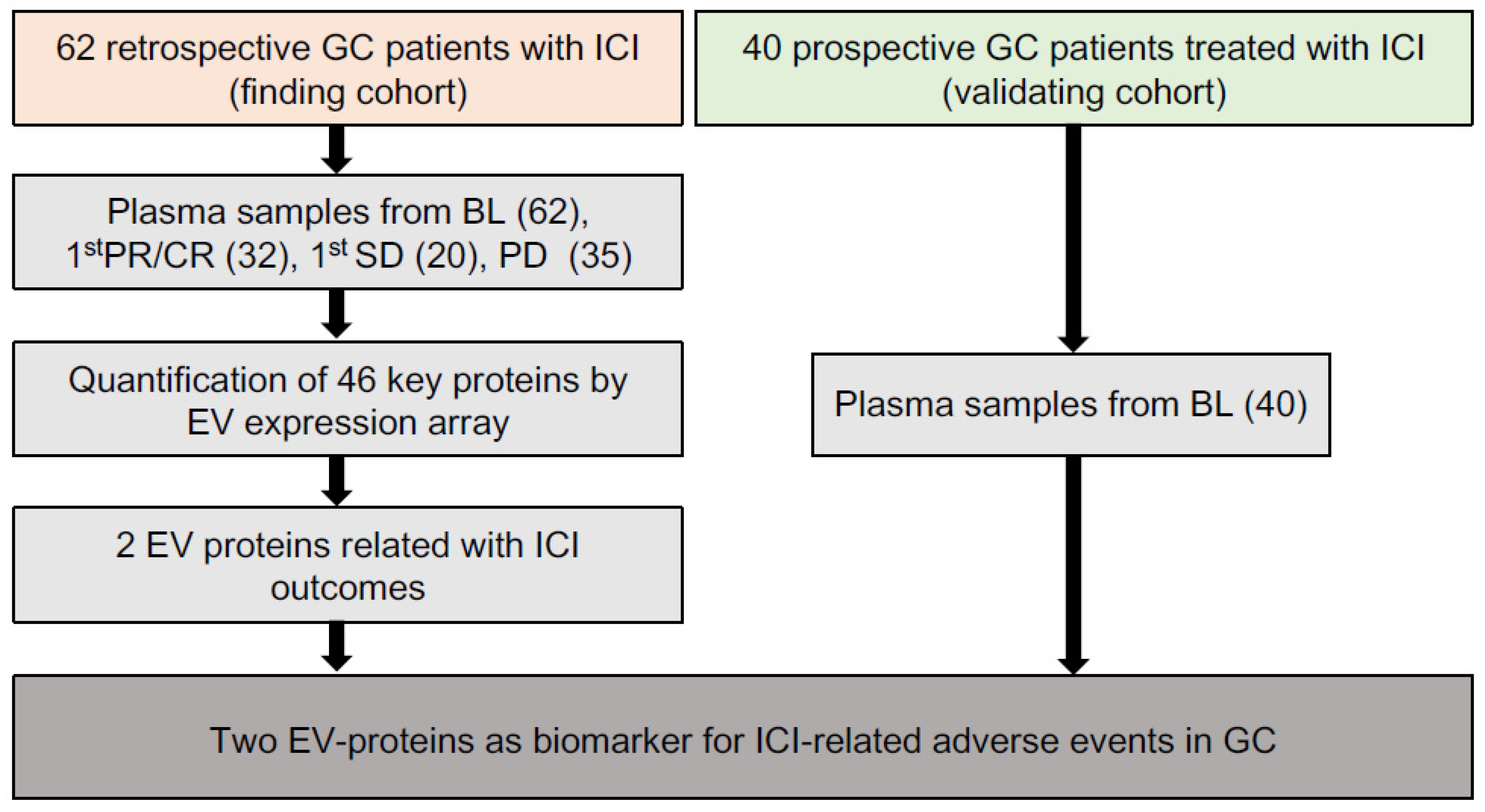 Cancers 14 04167 g001