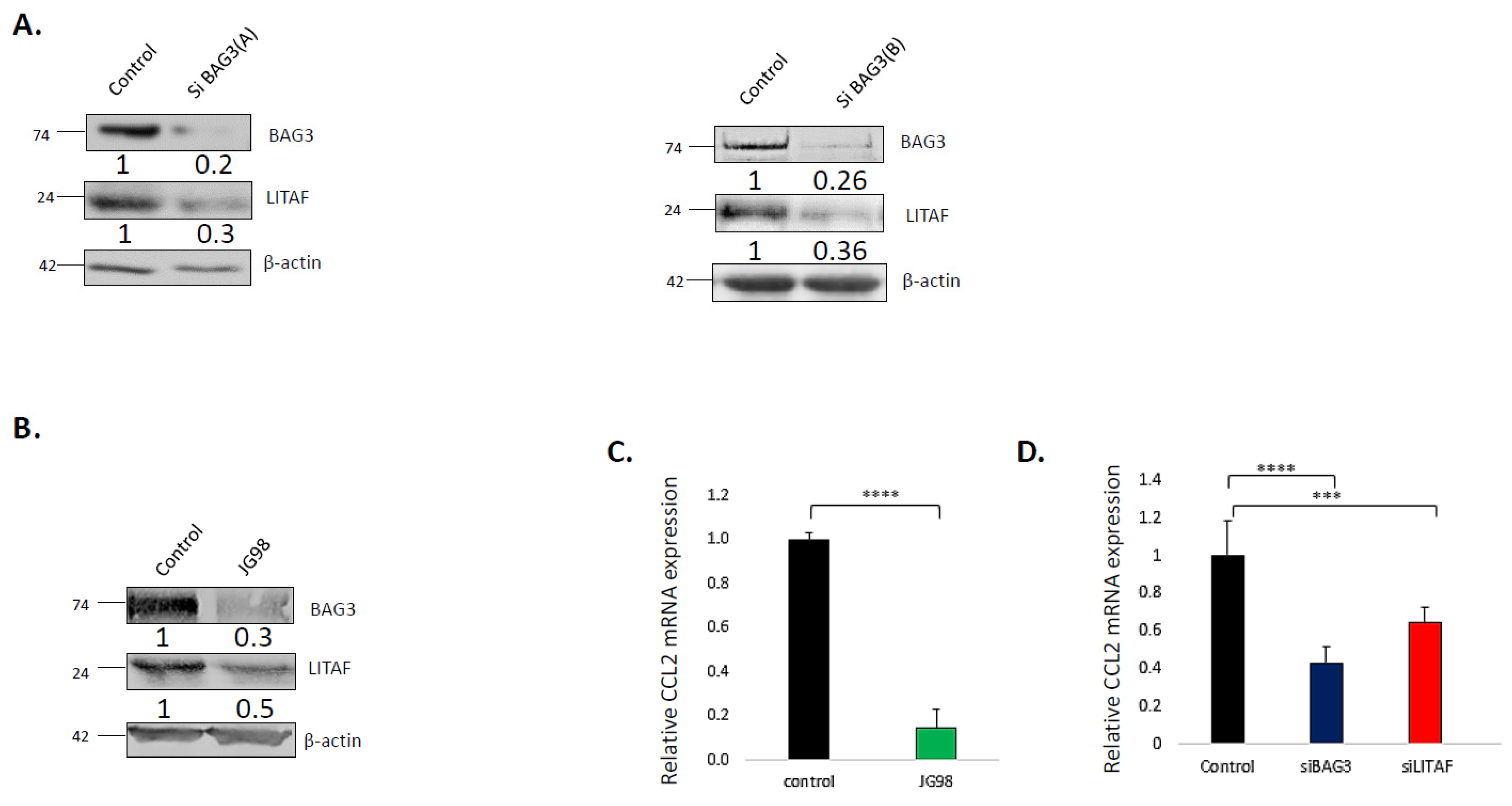 Cancers 14 04168 g001